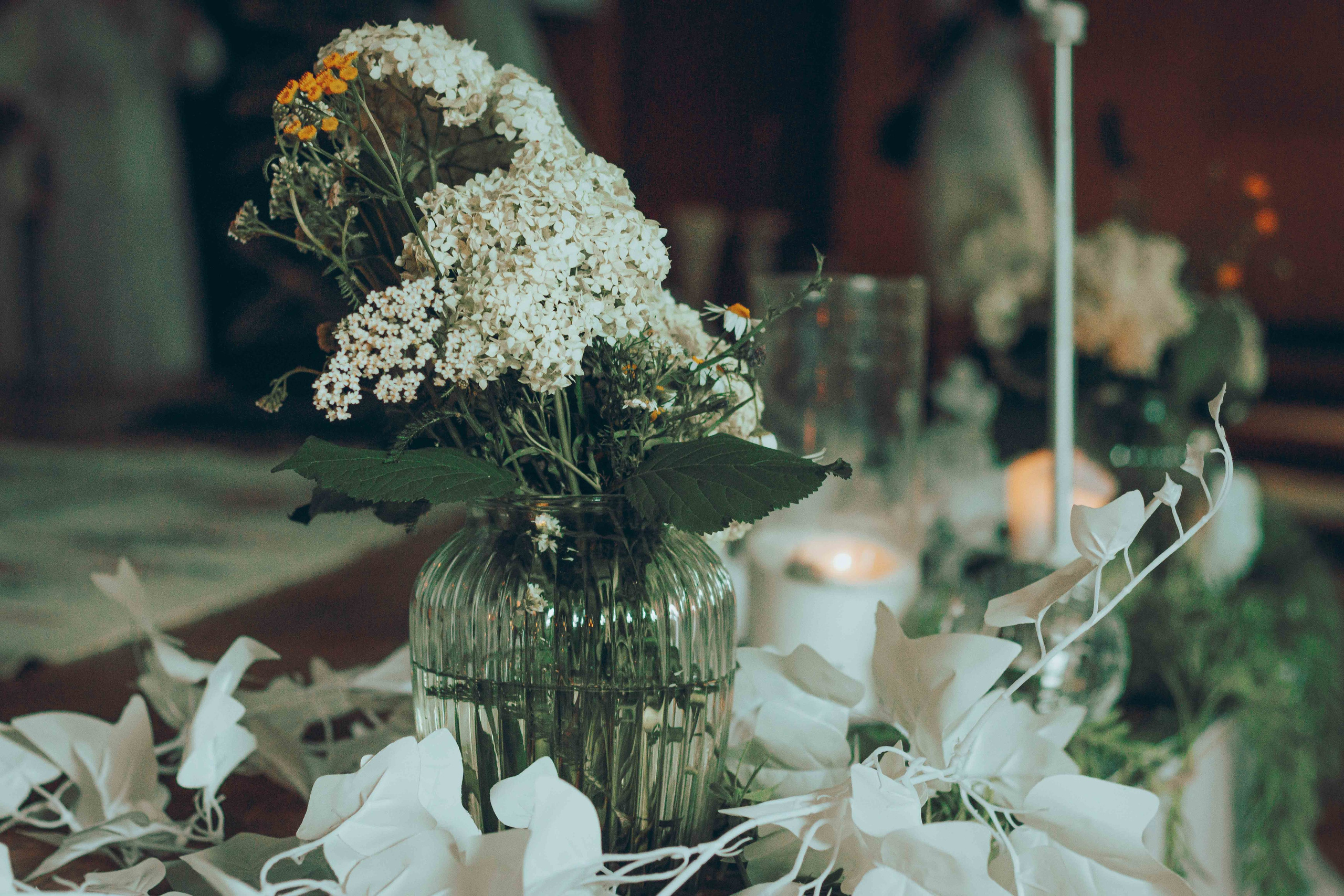 ECSTATIC WHITE |2024. Фотограф Аннё| Москва