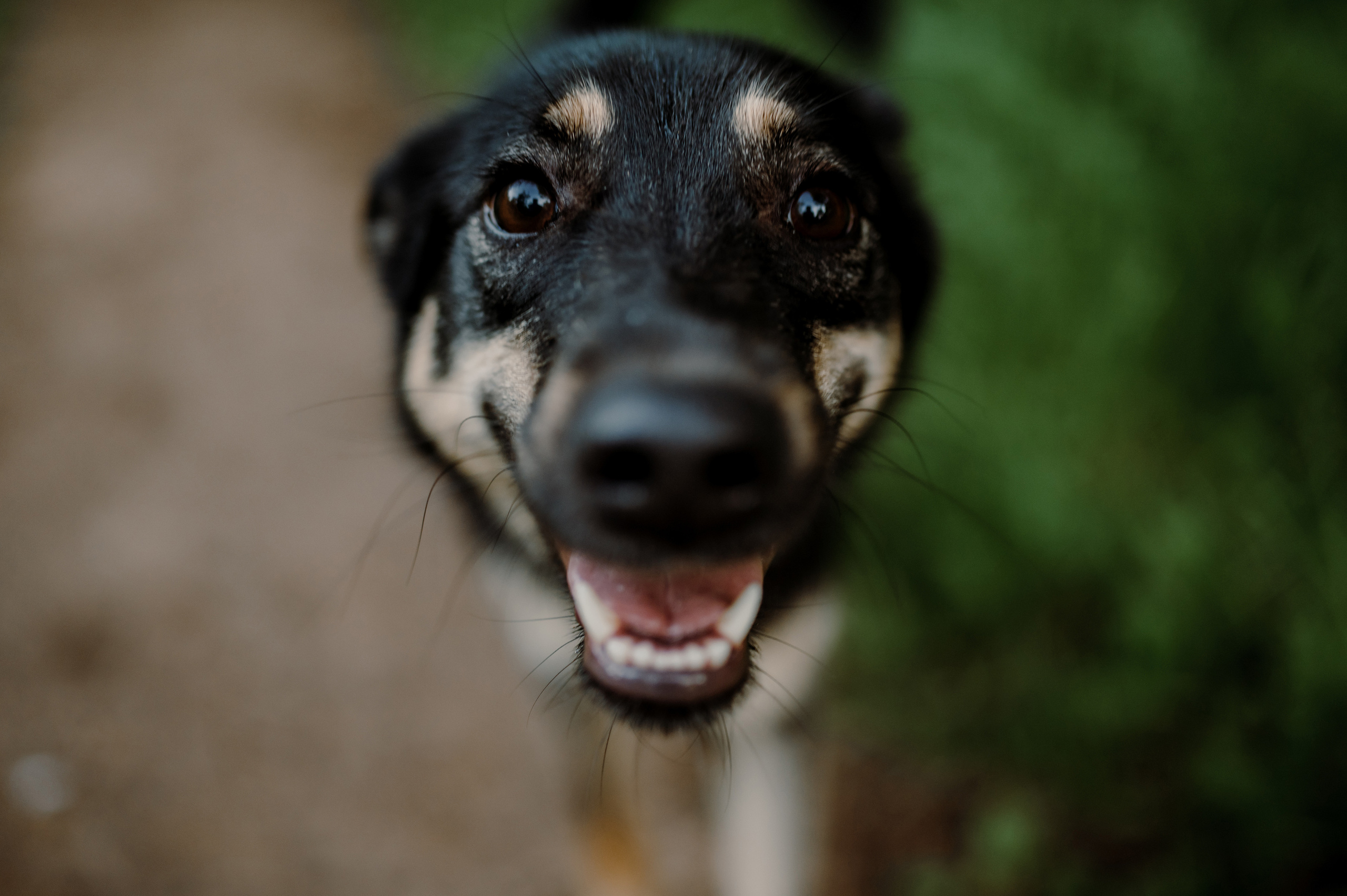 Софа и Паша. Фотограф Александр Смирнов