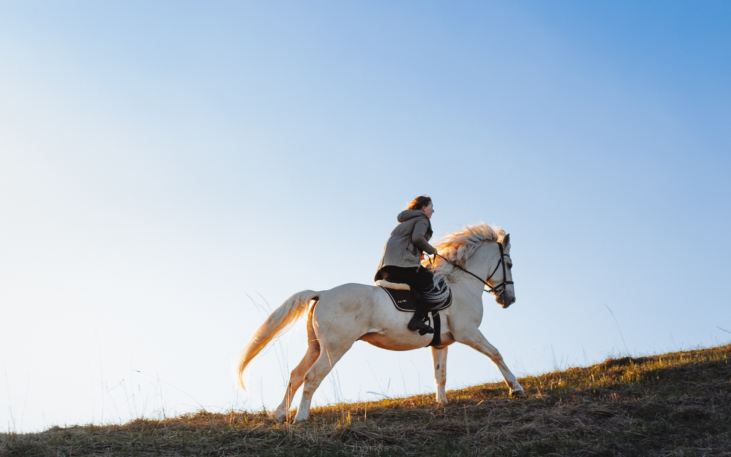 Катя и Гладиолус. Фотограф Елизавета Филатова