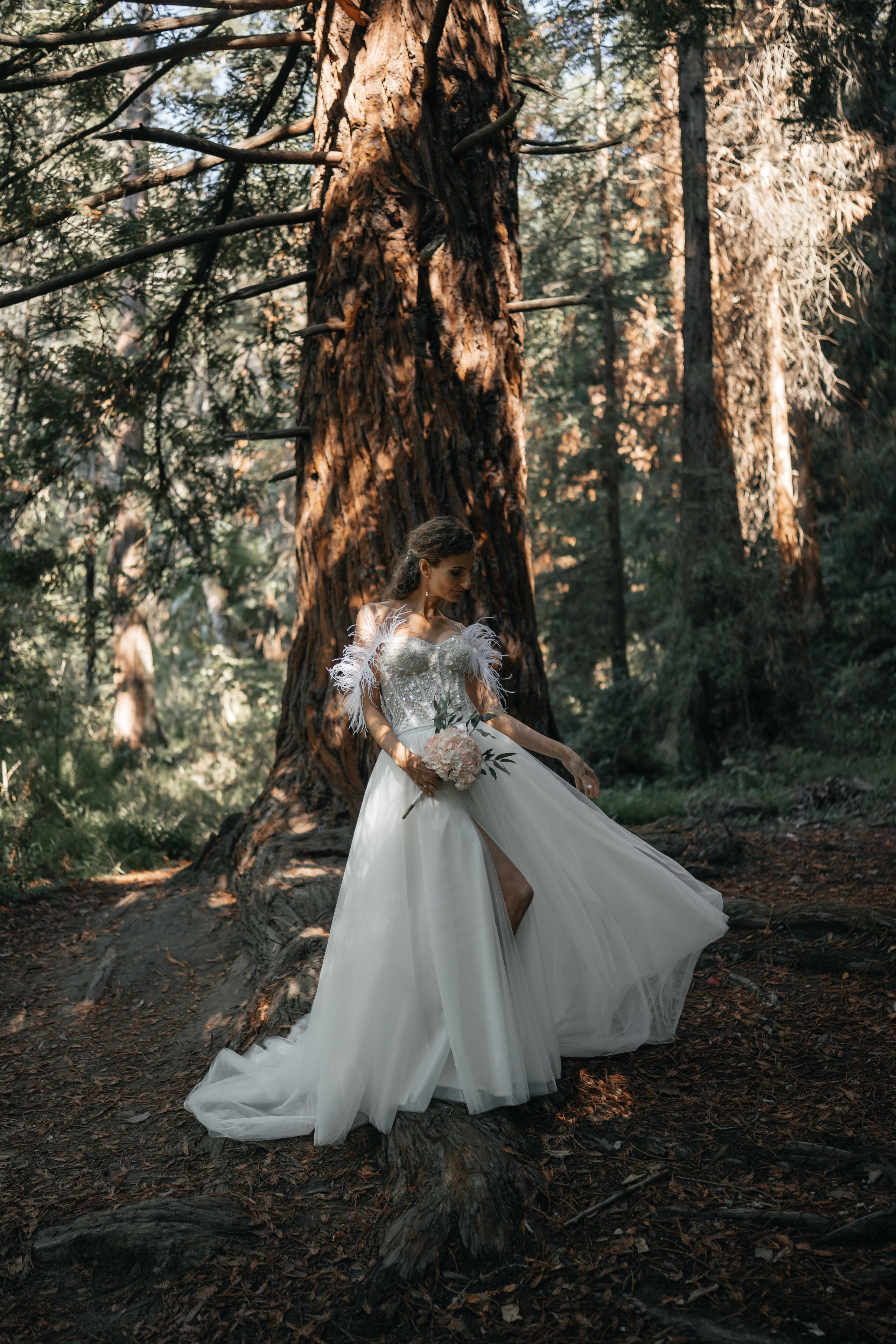 Свадьба Дмитрия и Алёны. Главная