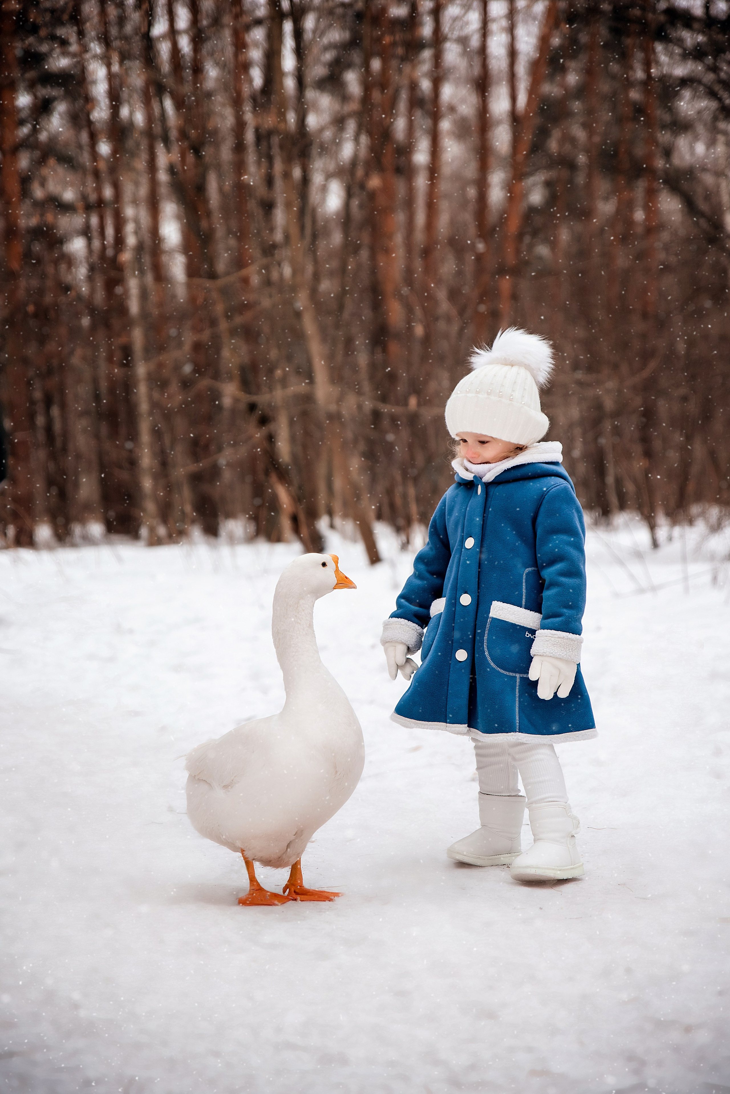 Гусь. Фотограф в Москве Lidiya_Li_Photo