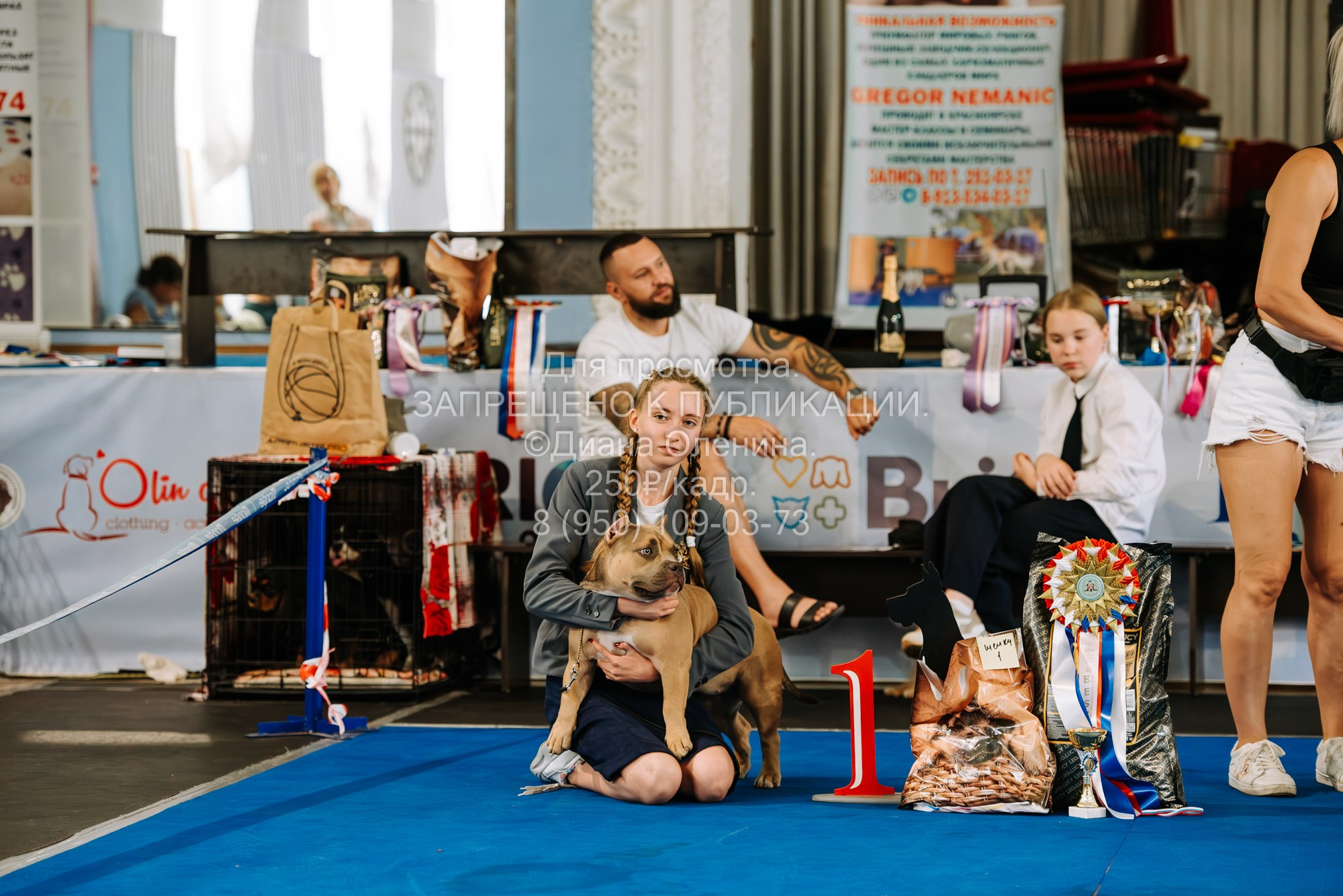 Национальная выставка собак всех пород ранга САС-IKU «Кубок Красноярск. Фотограф Диана Оленина Красноярск / Братск