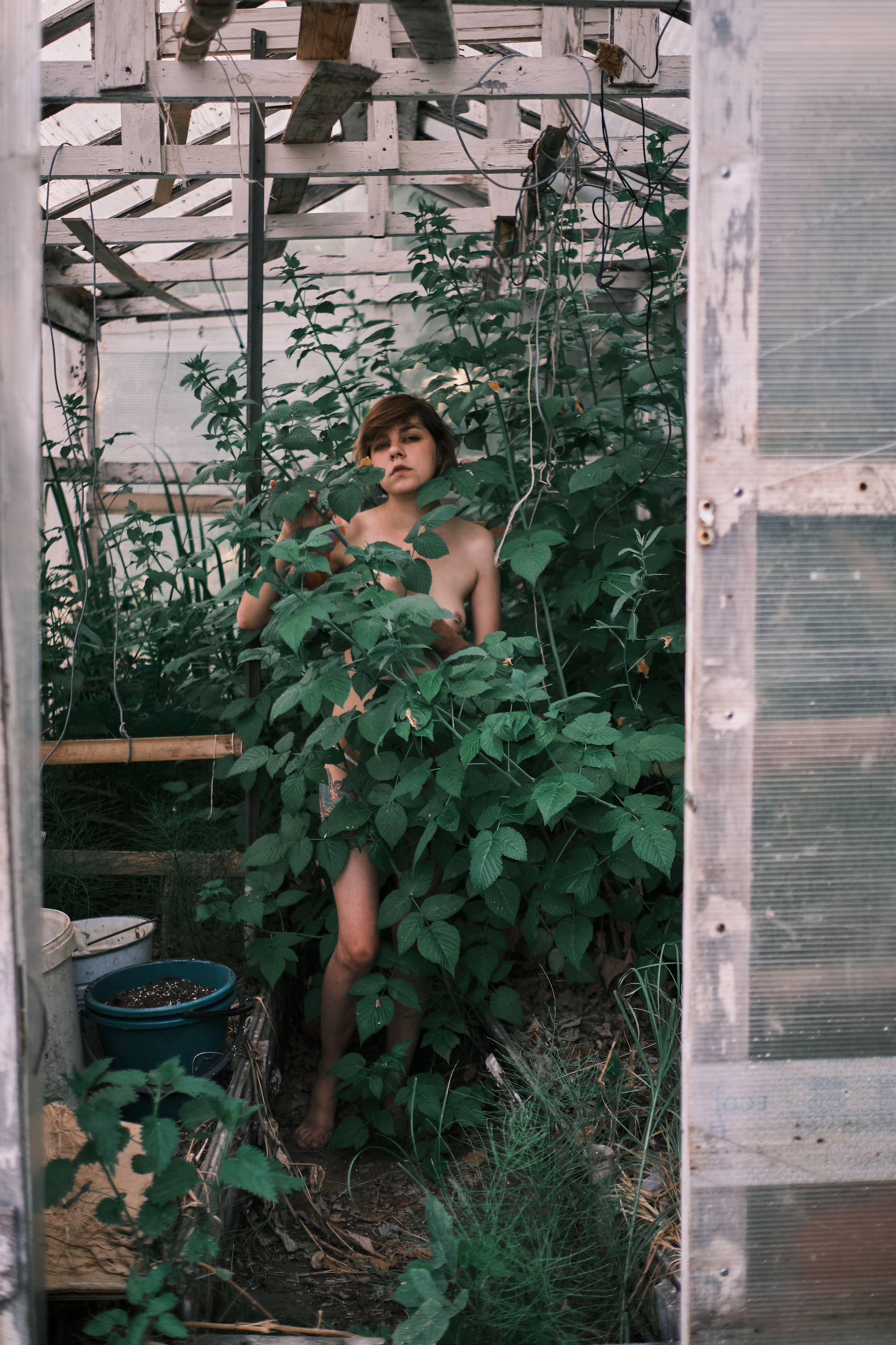 Обнаженная девушка в парнике с лозой 