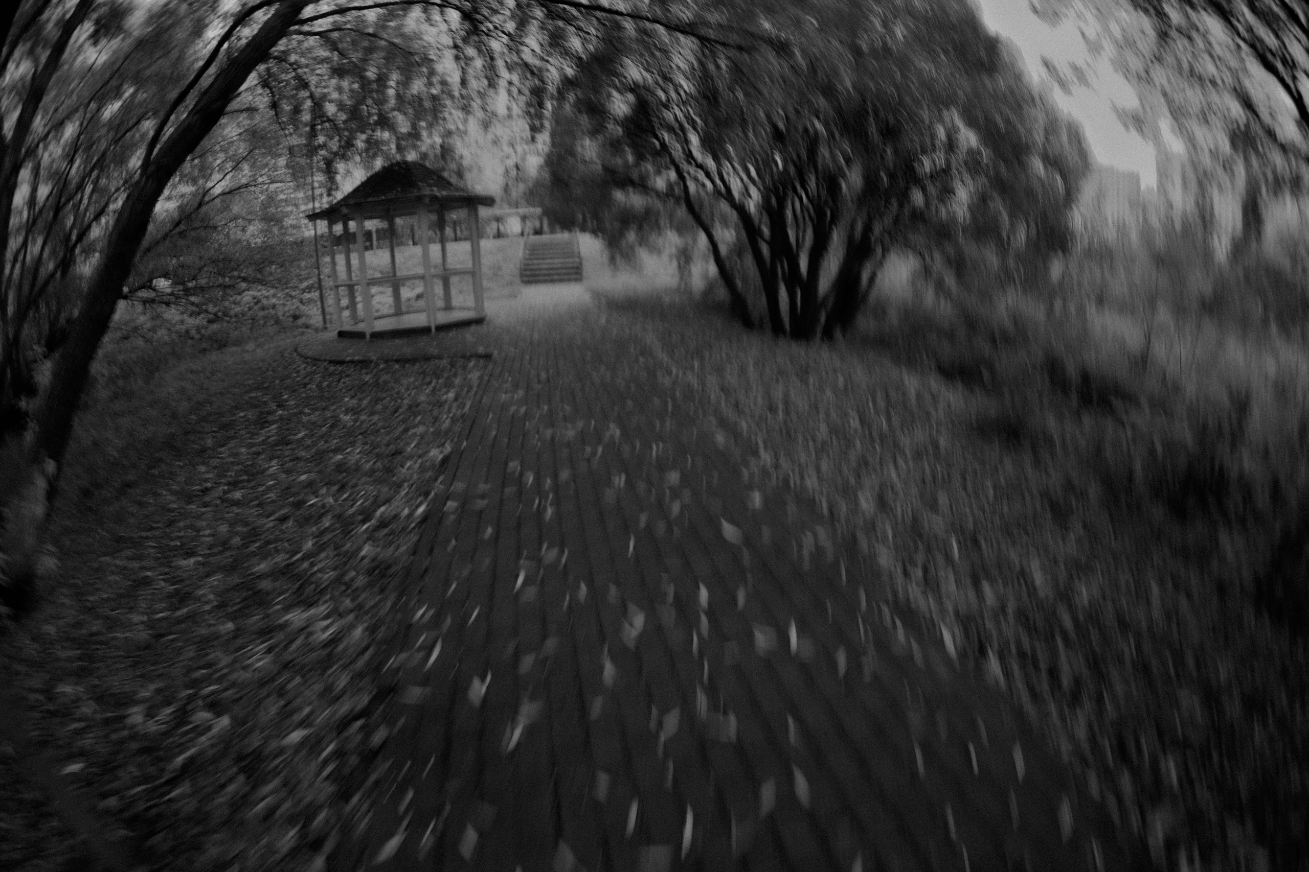 Осенняя серия. Фотограф в Москве. Екатерина Митина