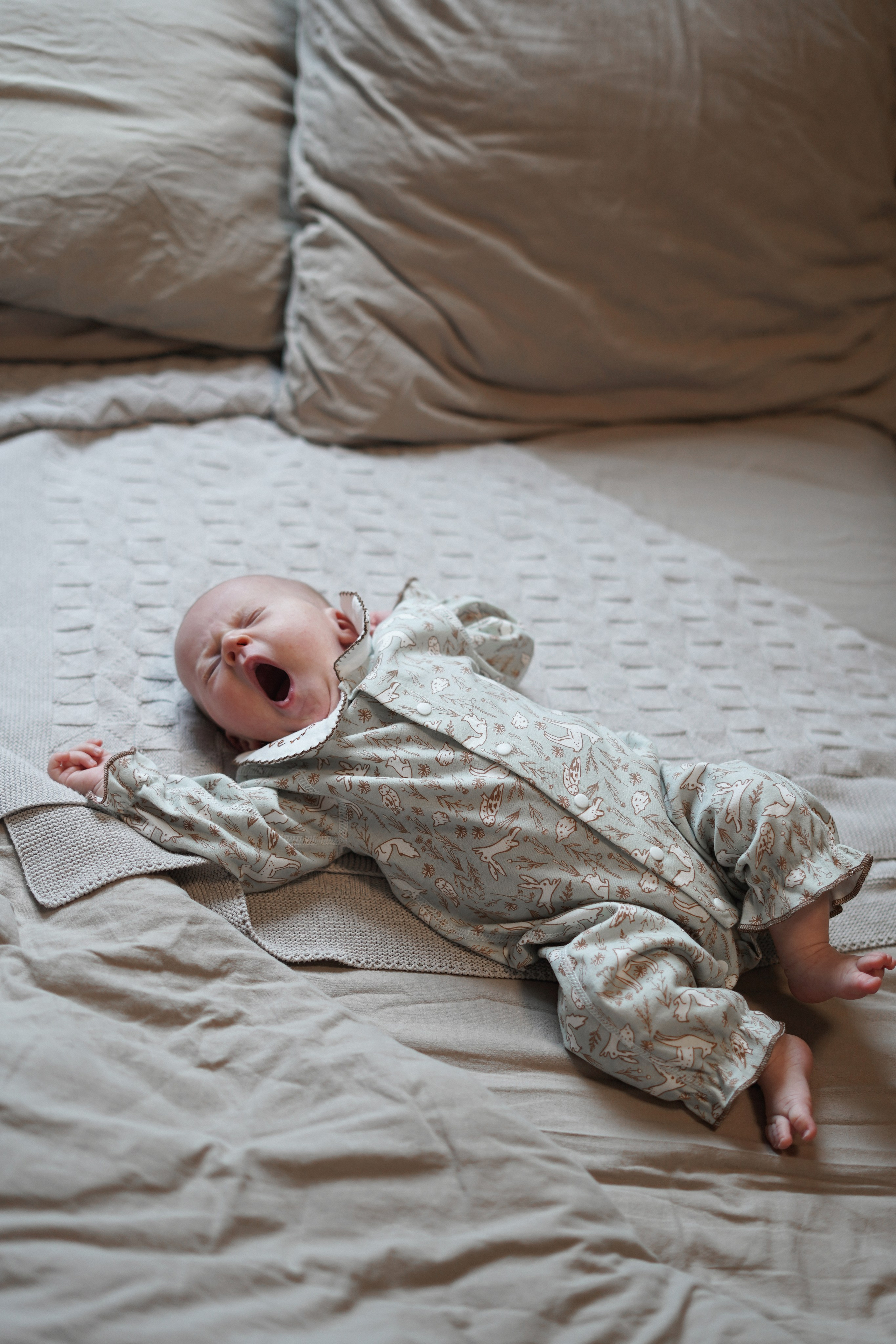 Алиса. Свадебный и портретный фотограф в Санкт-Петербурге Софья Каркачева