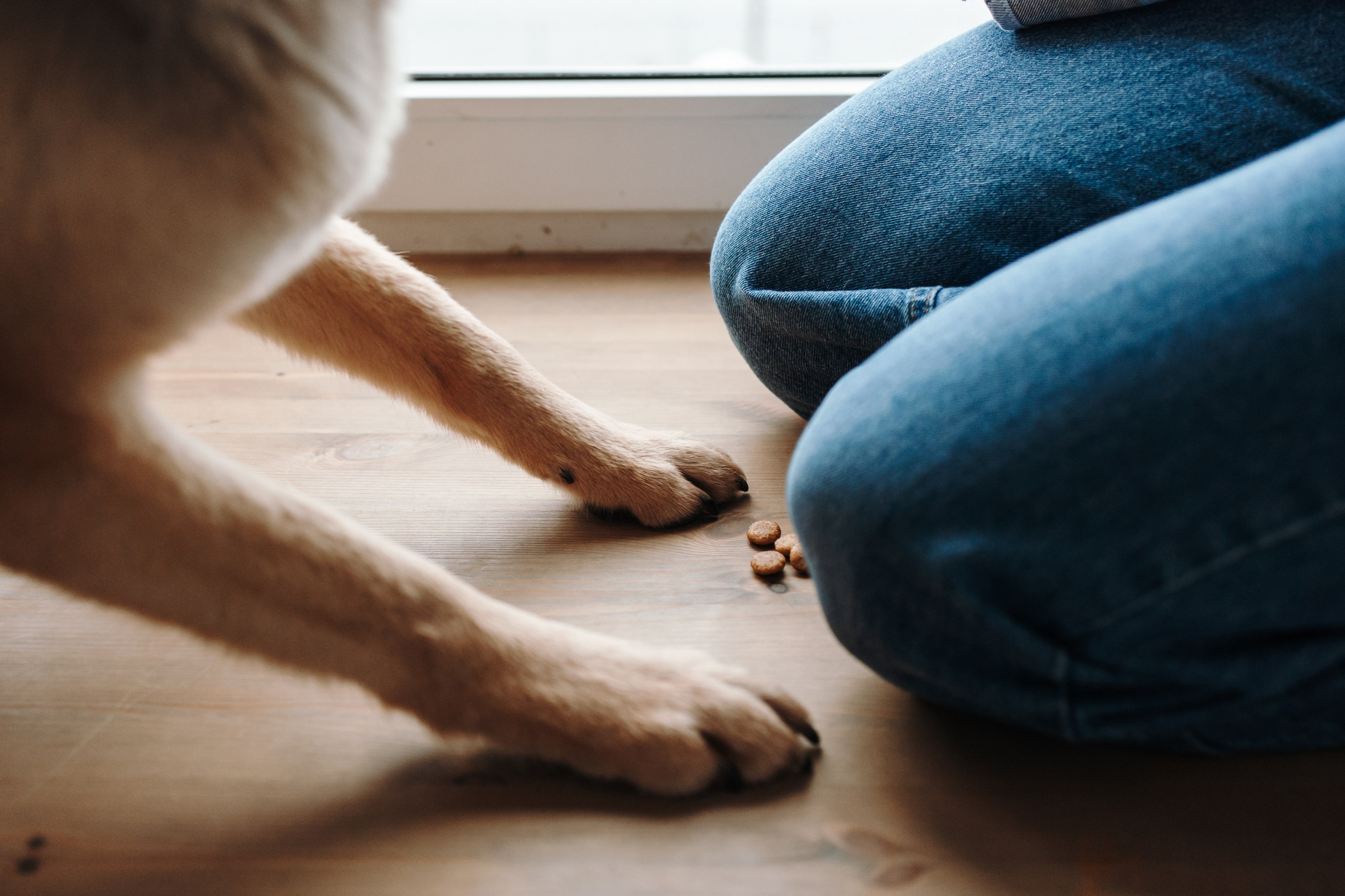 Лена и Дёма. Фотограф — Анималист | Санкт-Петербург