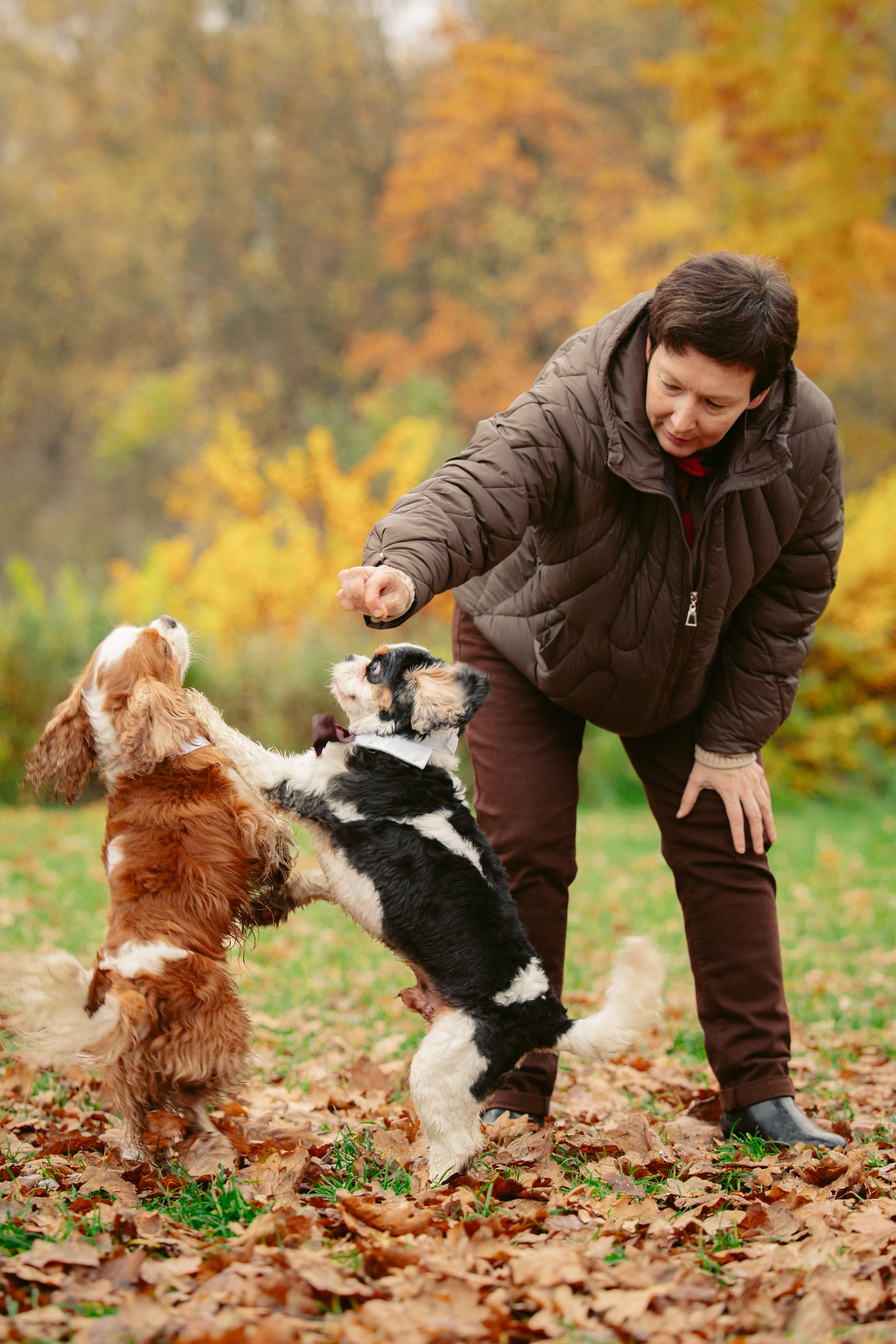 Ричард и Филя. Виктория Михайловская. Фотограф-анималист. Москва