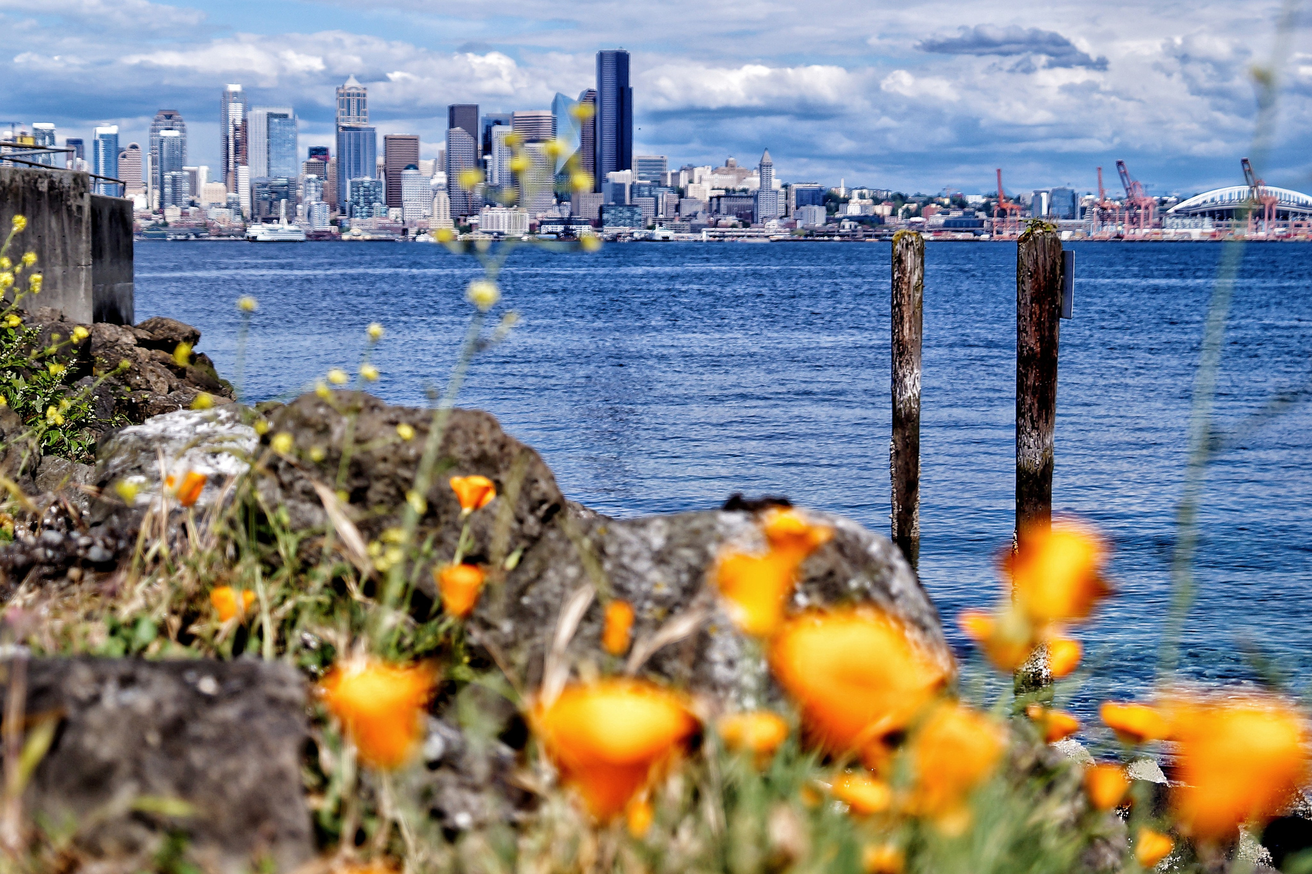Emerald City. Мои фото
