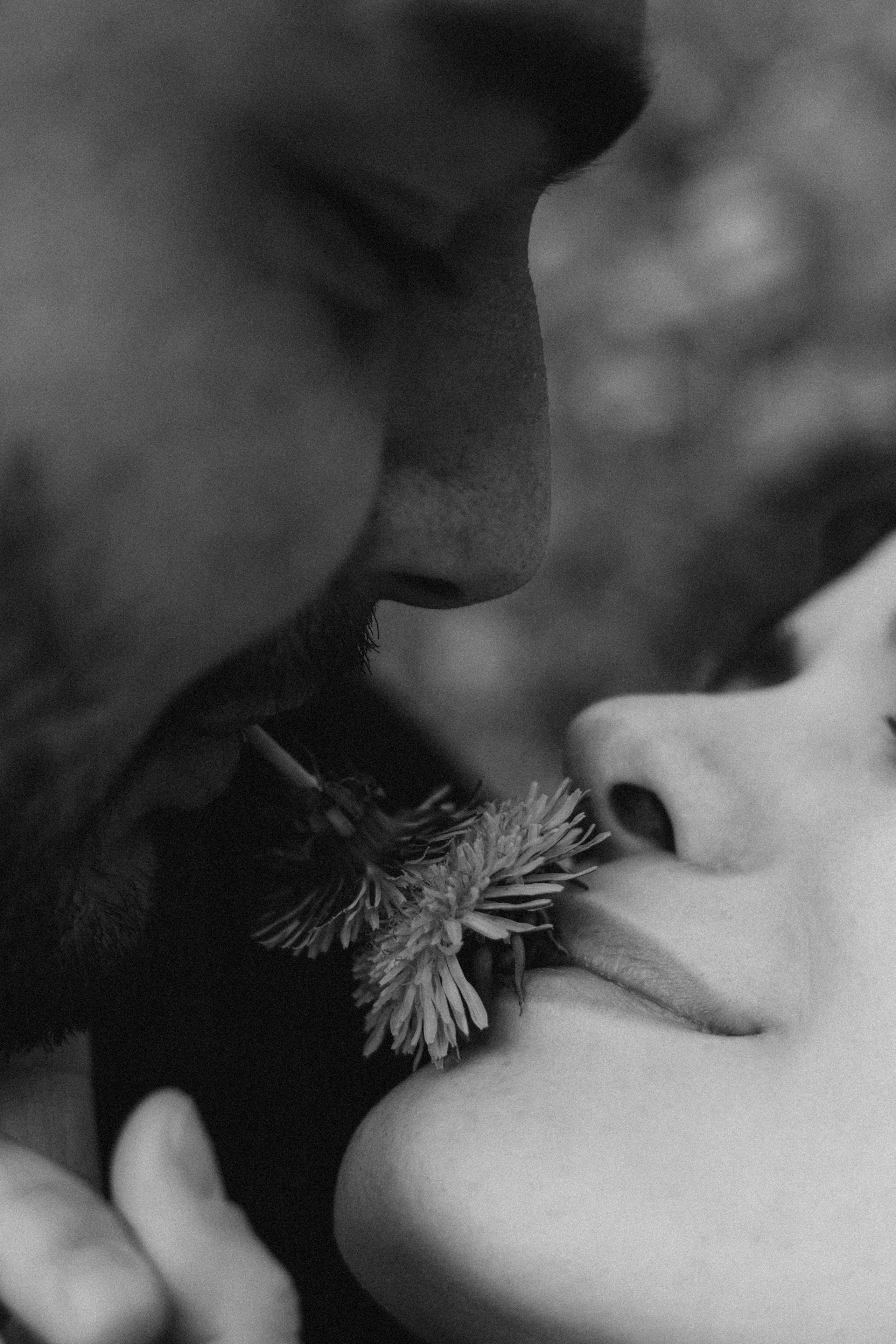 LOVE STORY (Арина и Сослан). Photographer — Regina Sal’manova. Uray