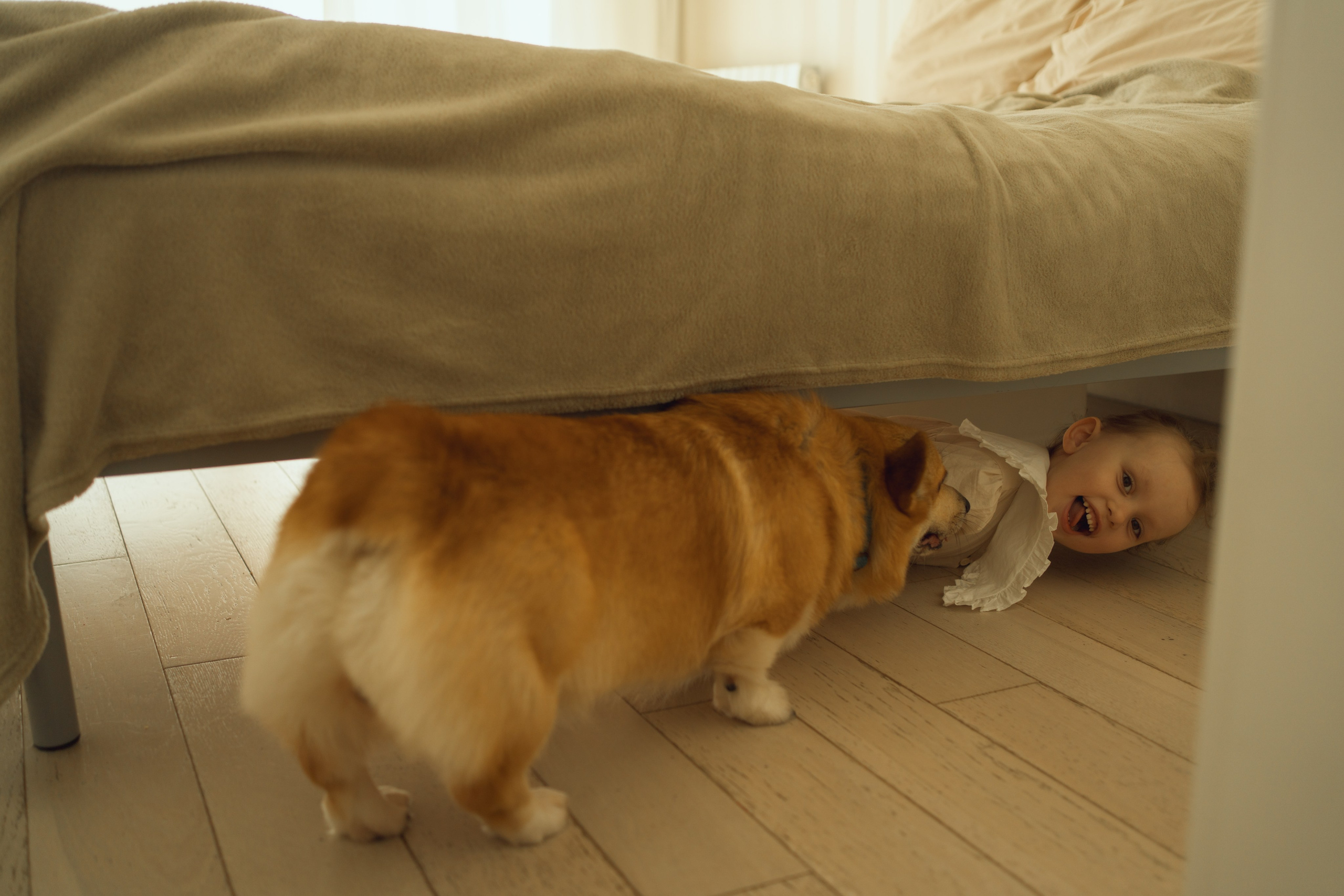 Мария, Ева и София. Семейный и детский фотограф Плесецк, Мирный Марина Забабурина