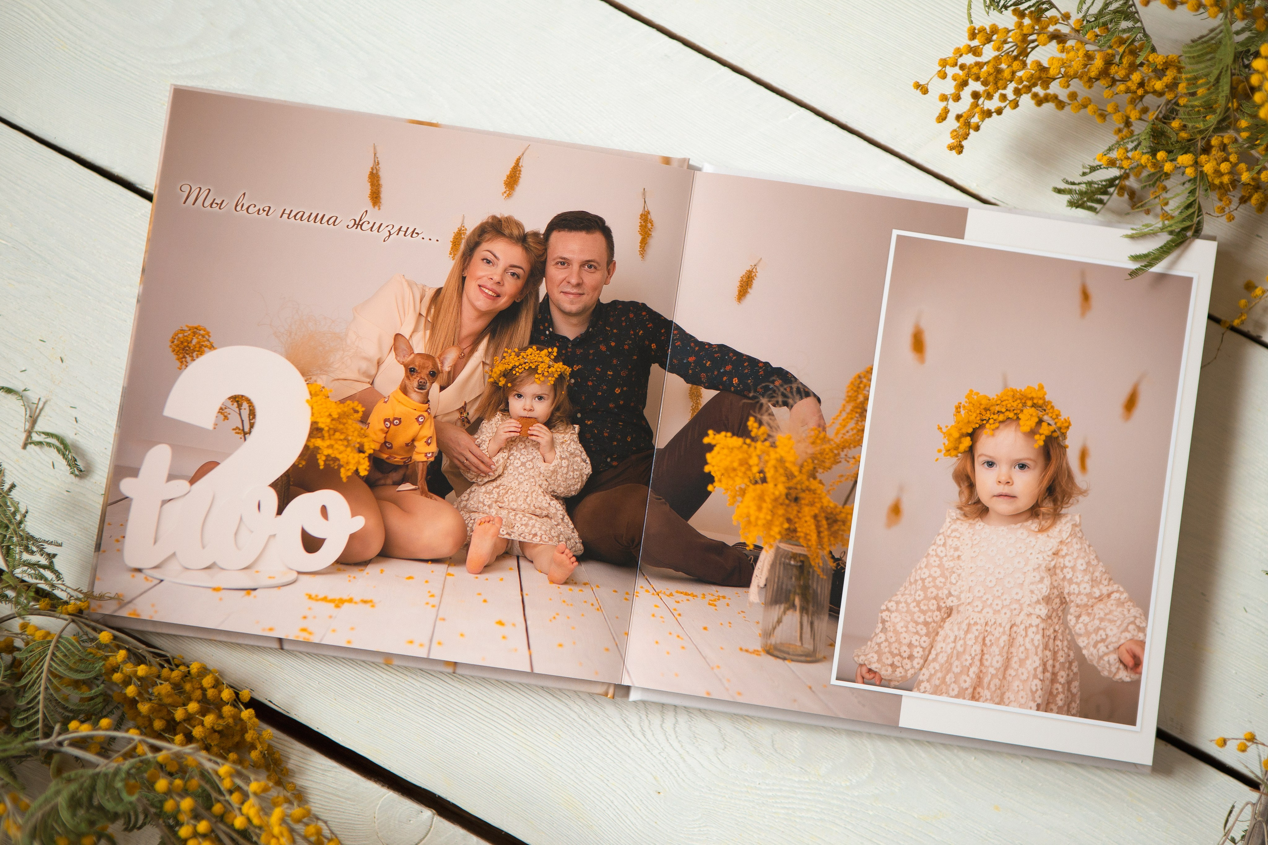 Книги Фабрика. Семейный фотограф Дарья Дзюбинская Раевская Анапа Новороссийск