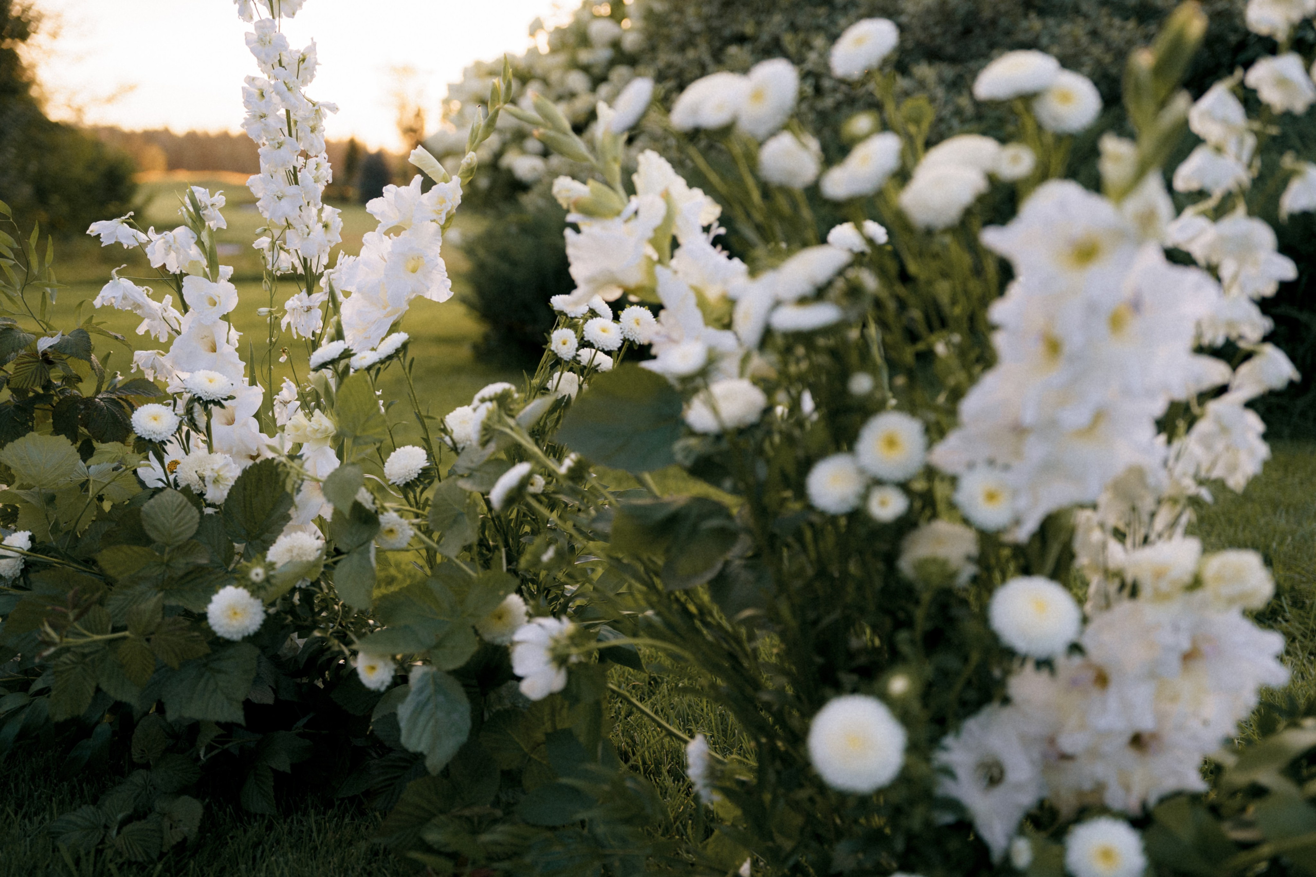 Целеево. Семейный и портретный фотограф в Саратове Сахарова Маша
