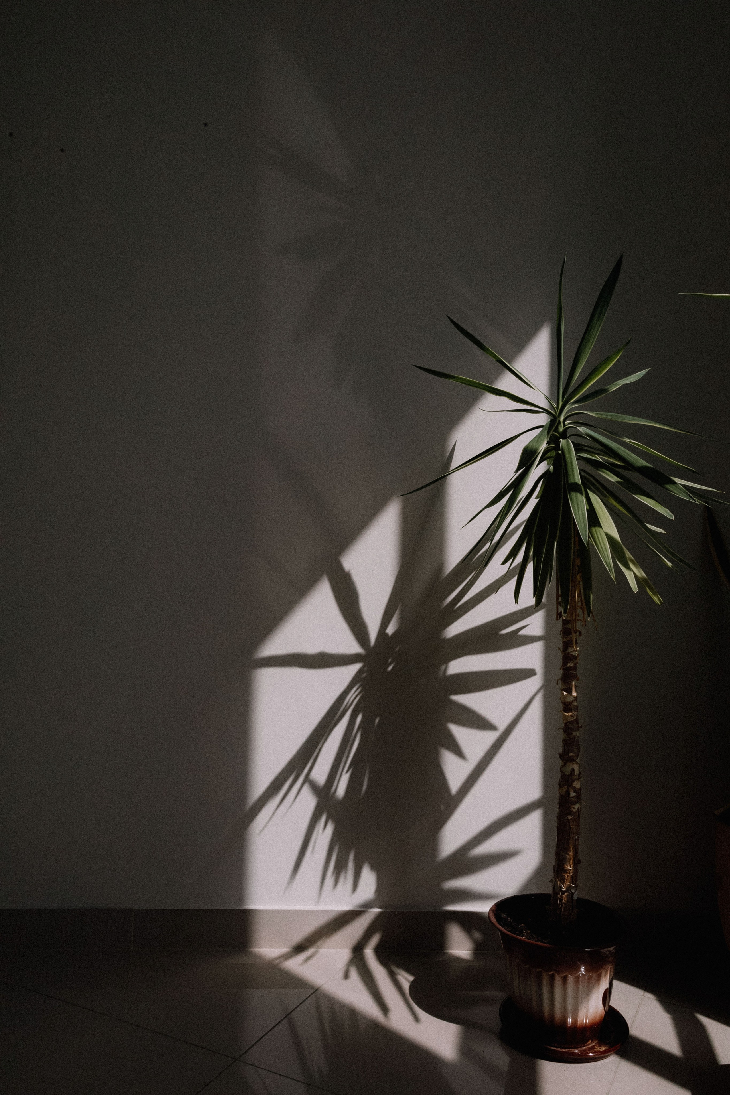 Татьяна и Денис. Фотограф Светлана Голицына