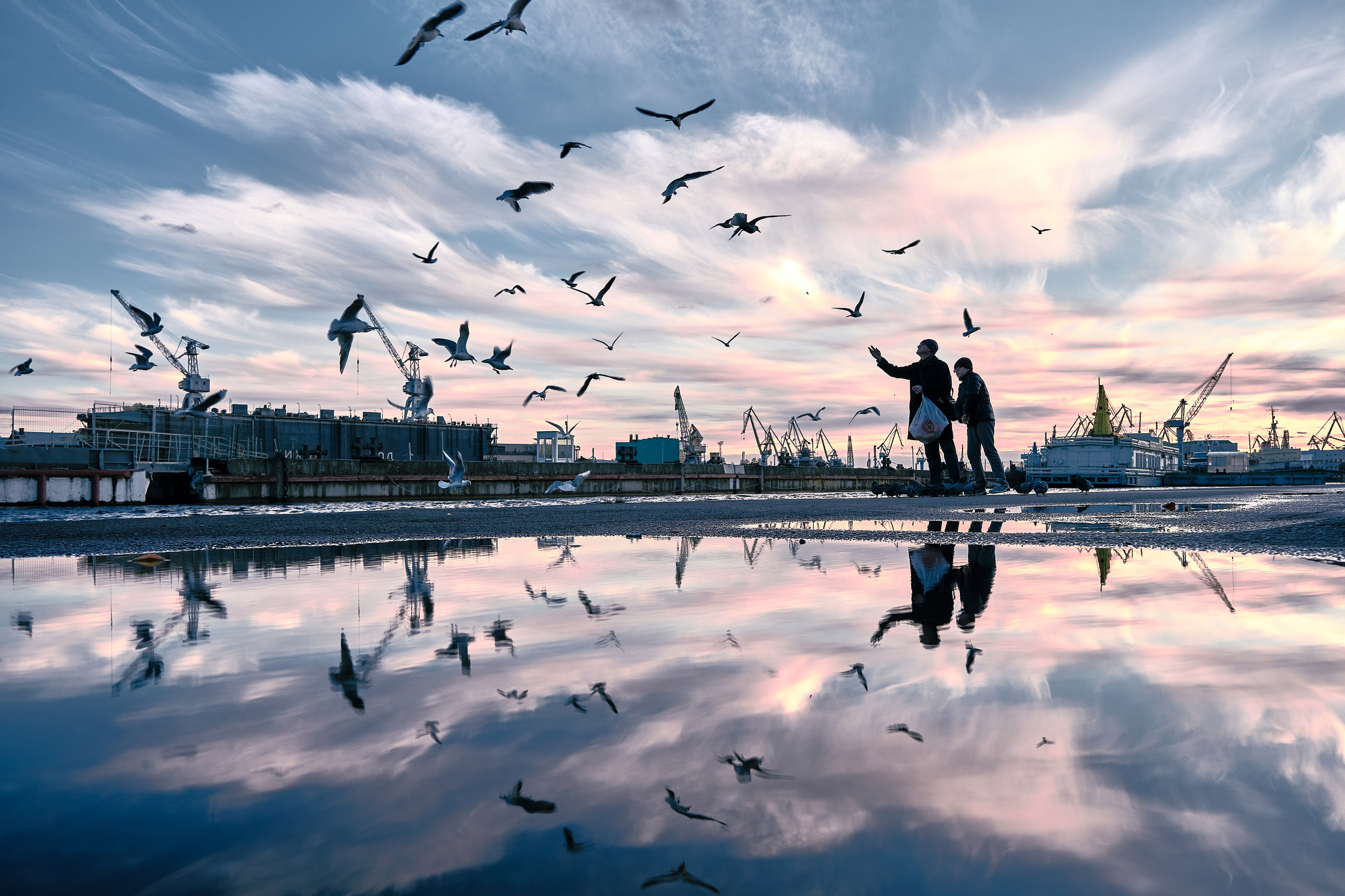 Zaoksky.Photo Санкт-Петербург