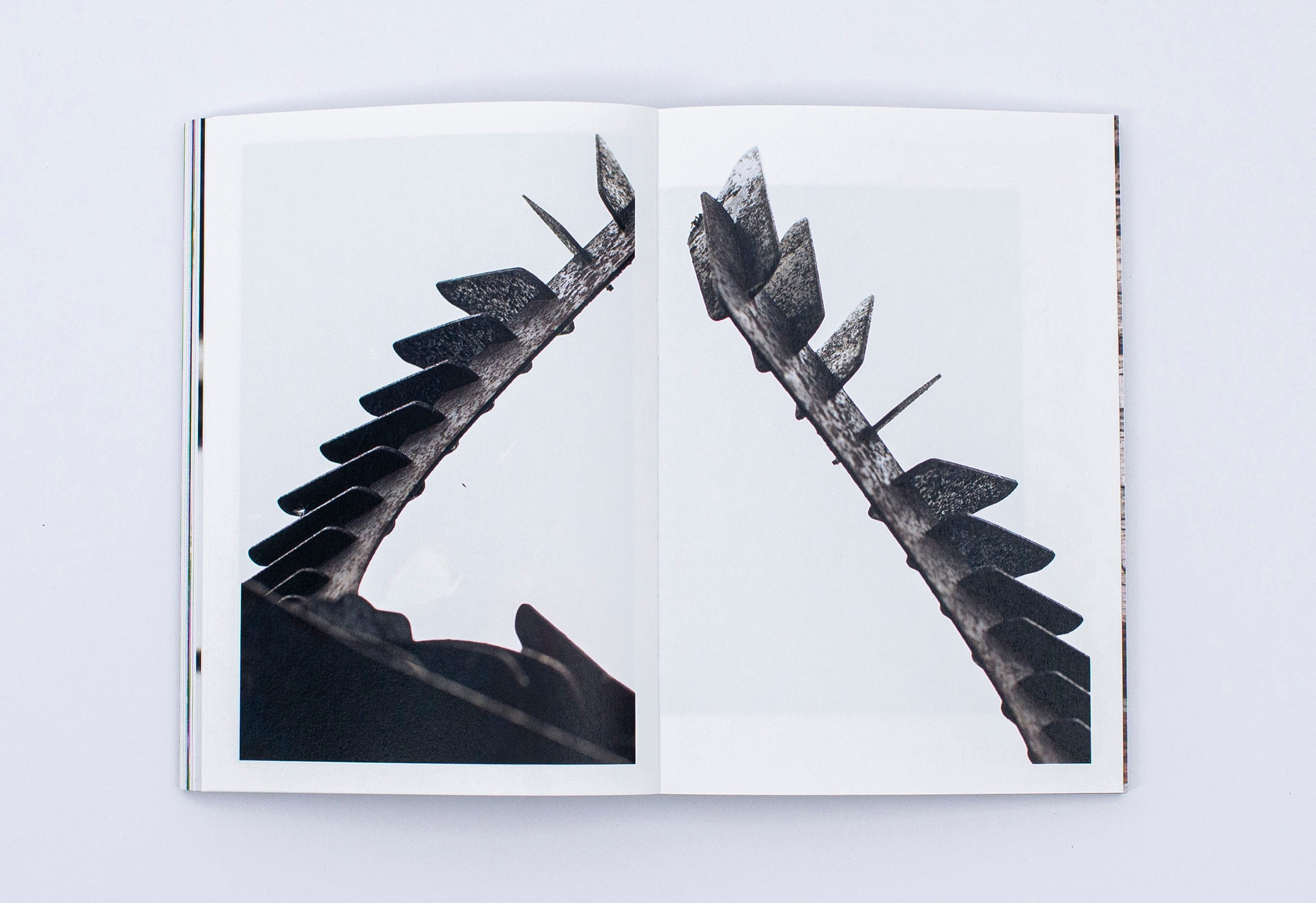 Книга. Фотограф в Москве Алейникова Евгения