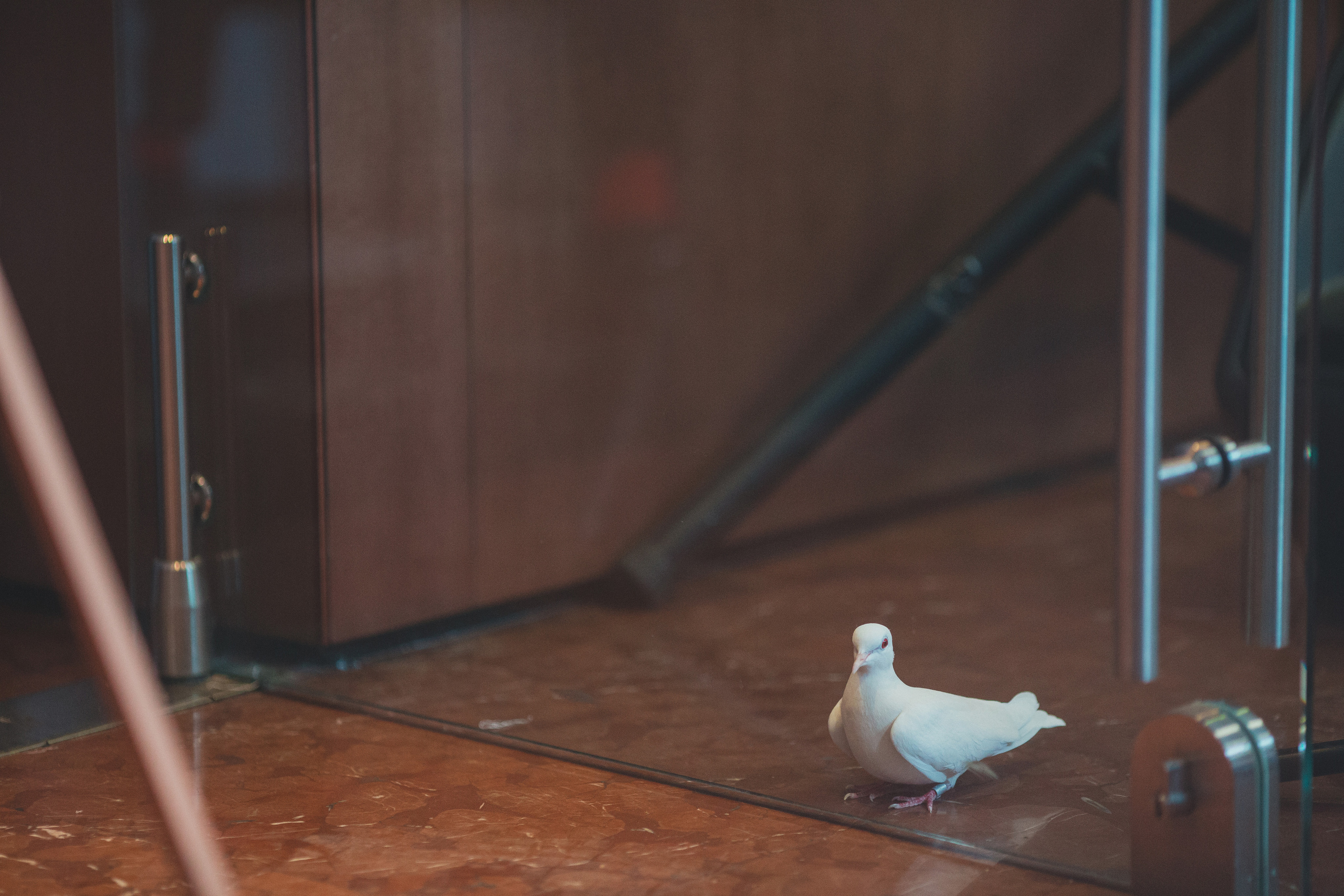 Елена & Алексей. Свадебный и семейный фотограф в Казани и Зеленодольске Ланочкин Илья