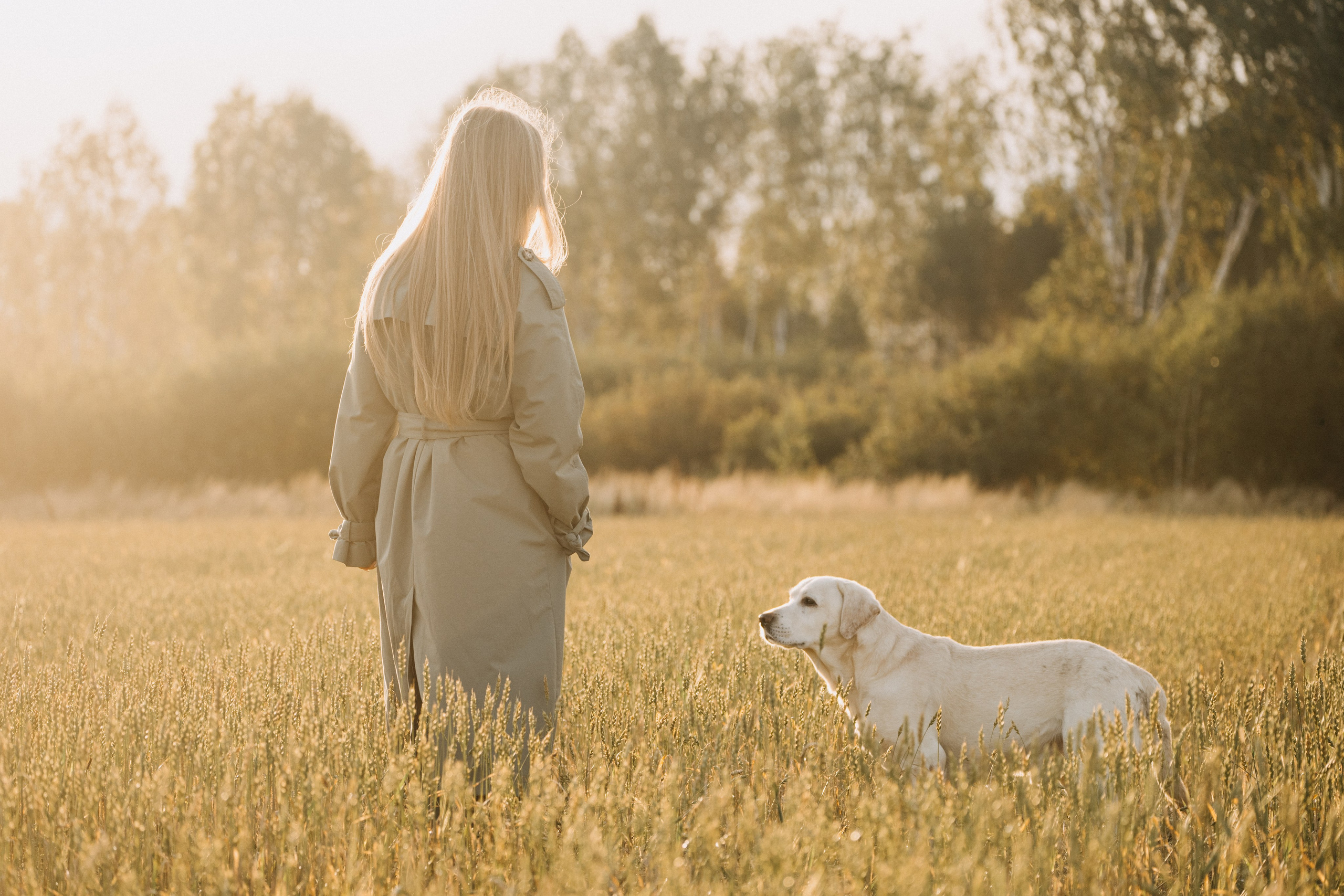 Дана и Арчи. Фотограф-анималист Анастасия Большакова