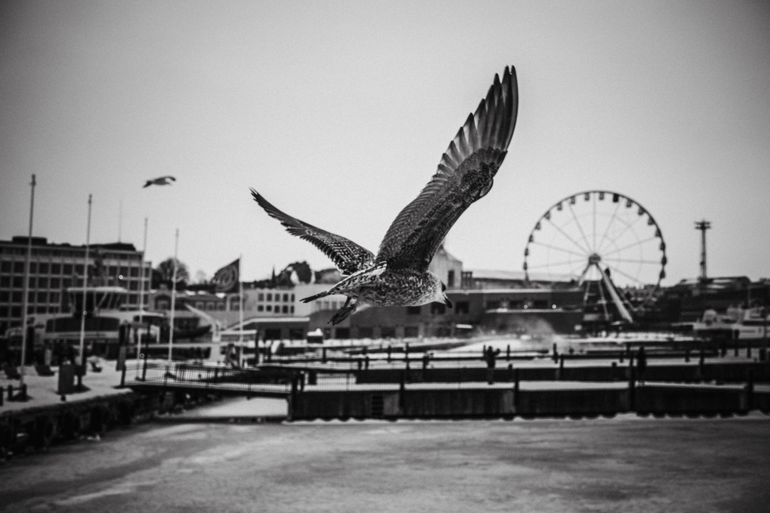 FinlandBW. Moscow street photography workshops and photo tourism