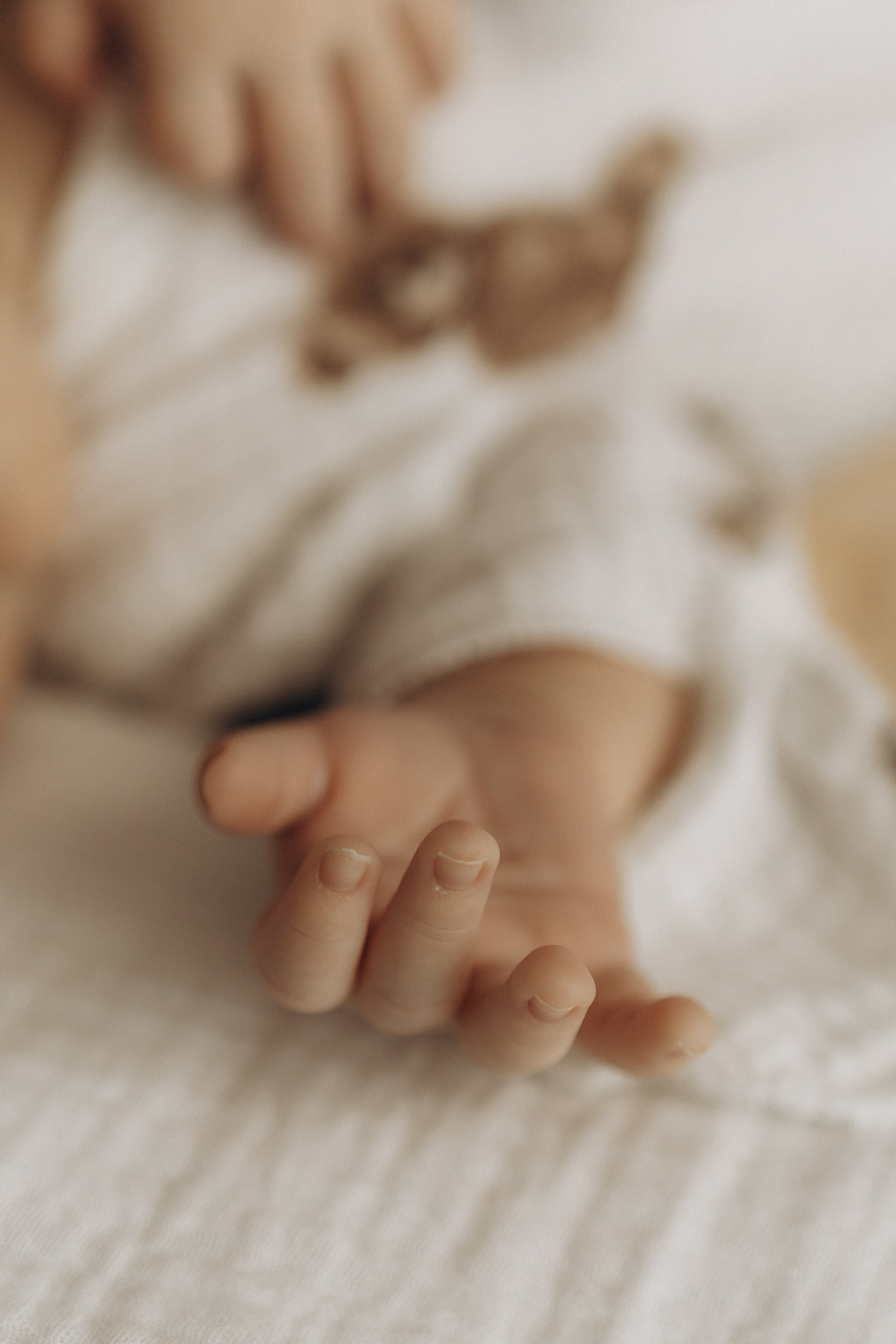 Домашние моменты. Самый теплый фотограф в Краснодаре Рябоконь Ксения