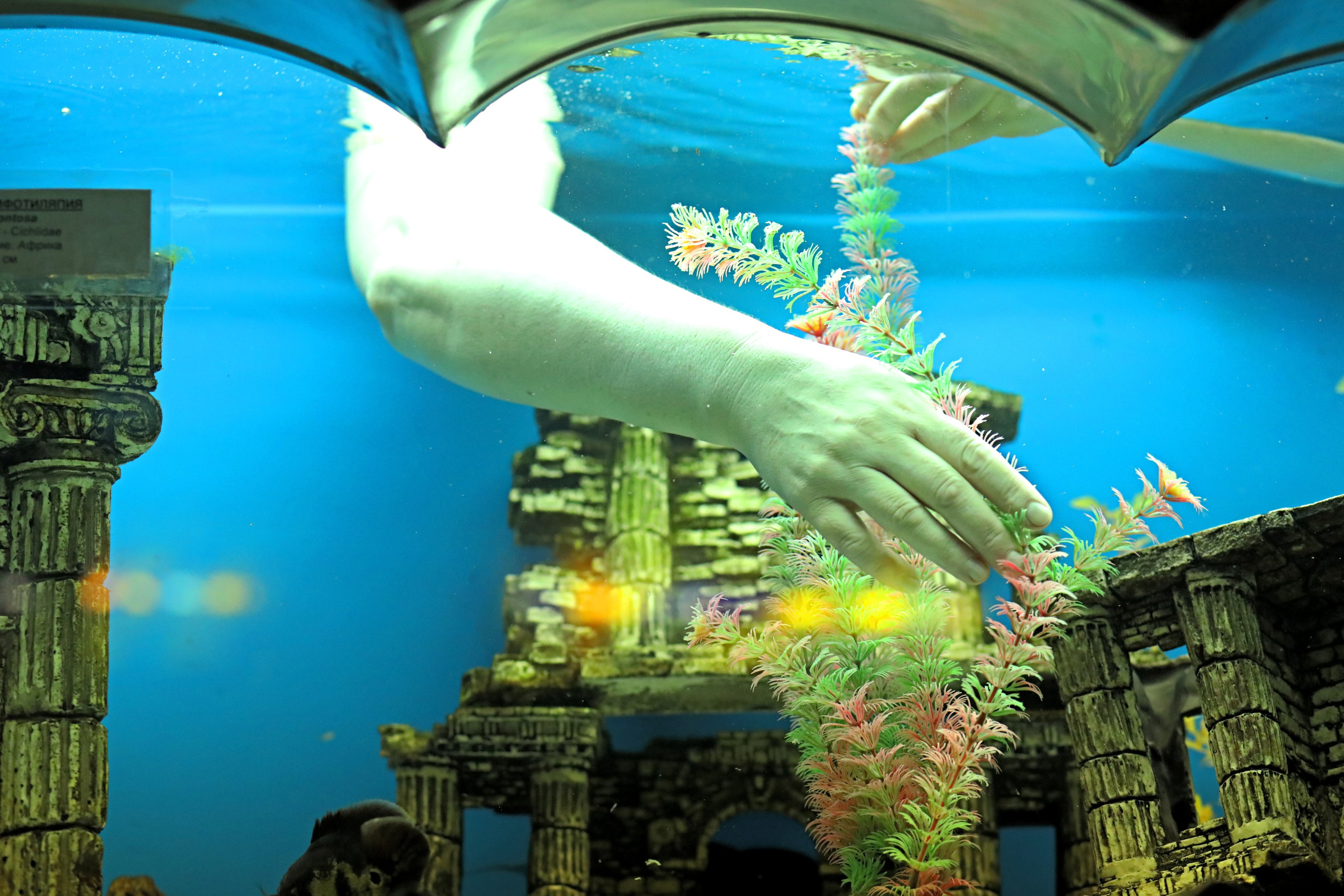 Ростовский зоопарк. Фото-художник и Репортажный фотограф Николаев Александр Алексеевич