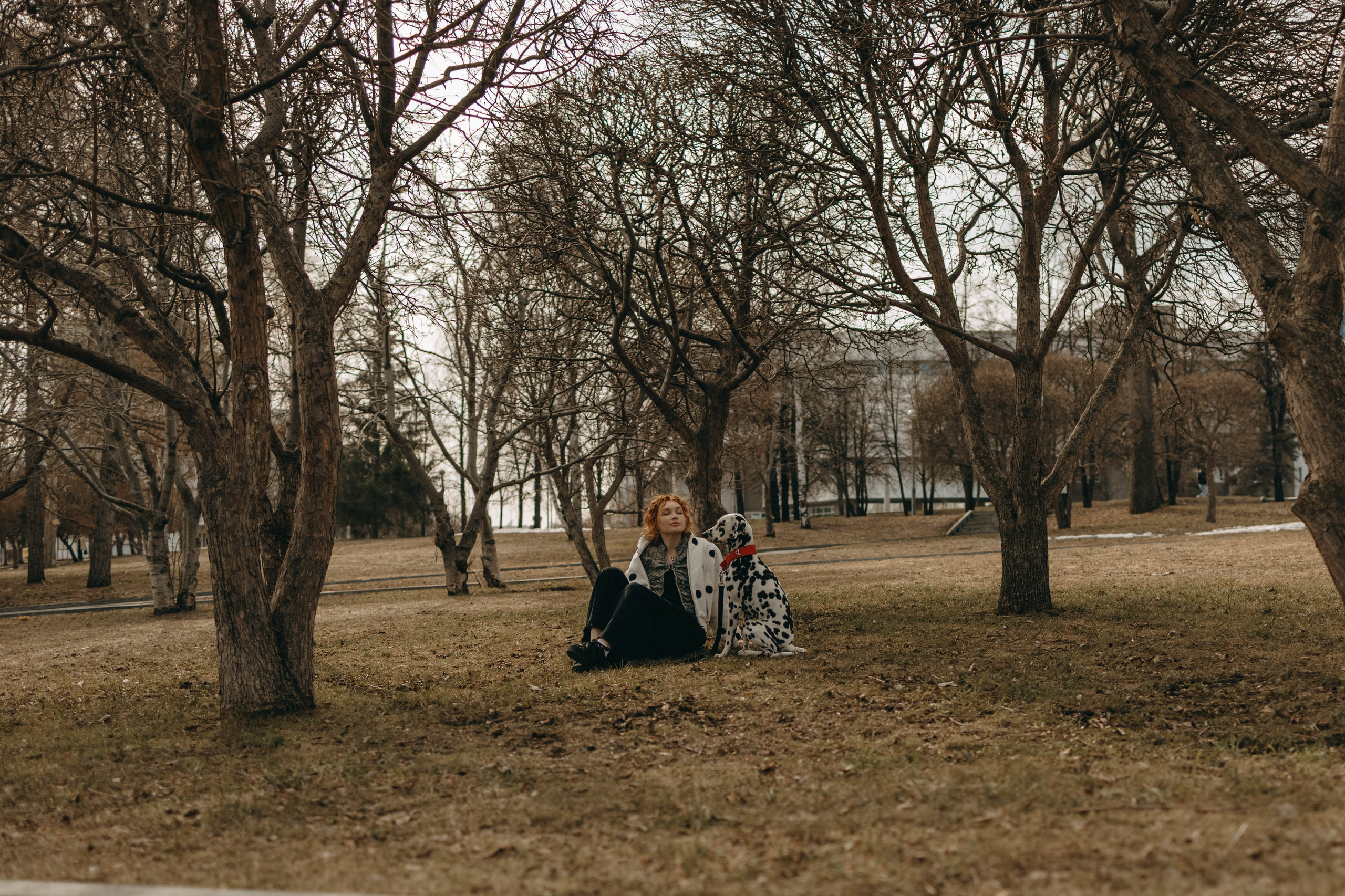 Диана и Лекса. Фотограф-анималист в Екатеринбурге | Кристина