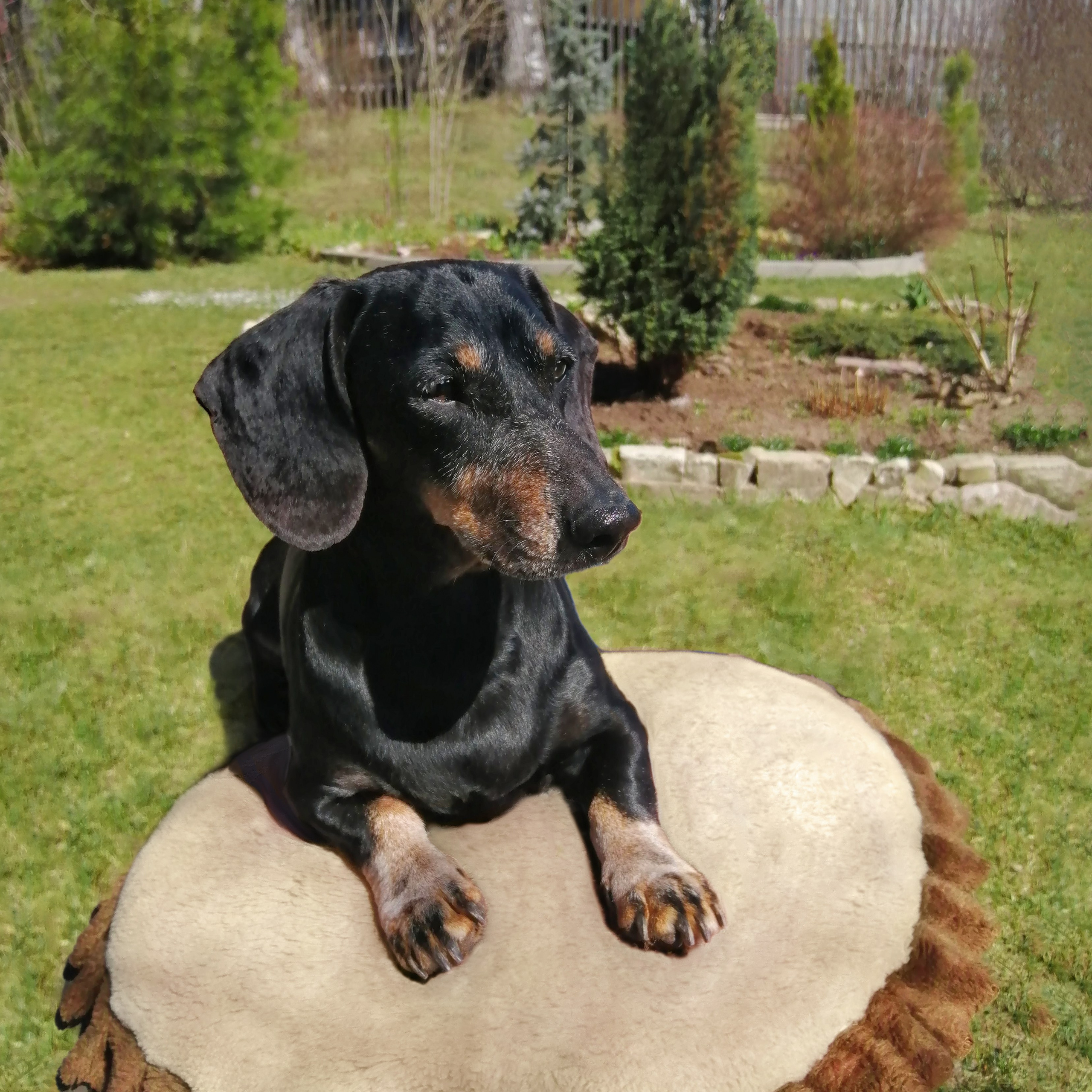 Ретушь разное. Фотограф и ретушер Маргарита Павлюк Москва