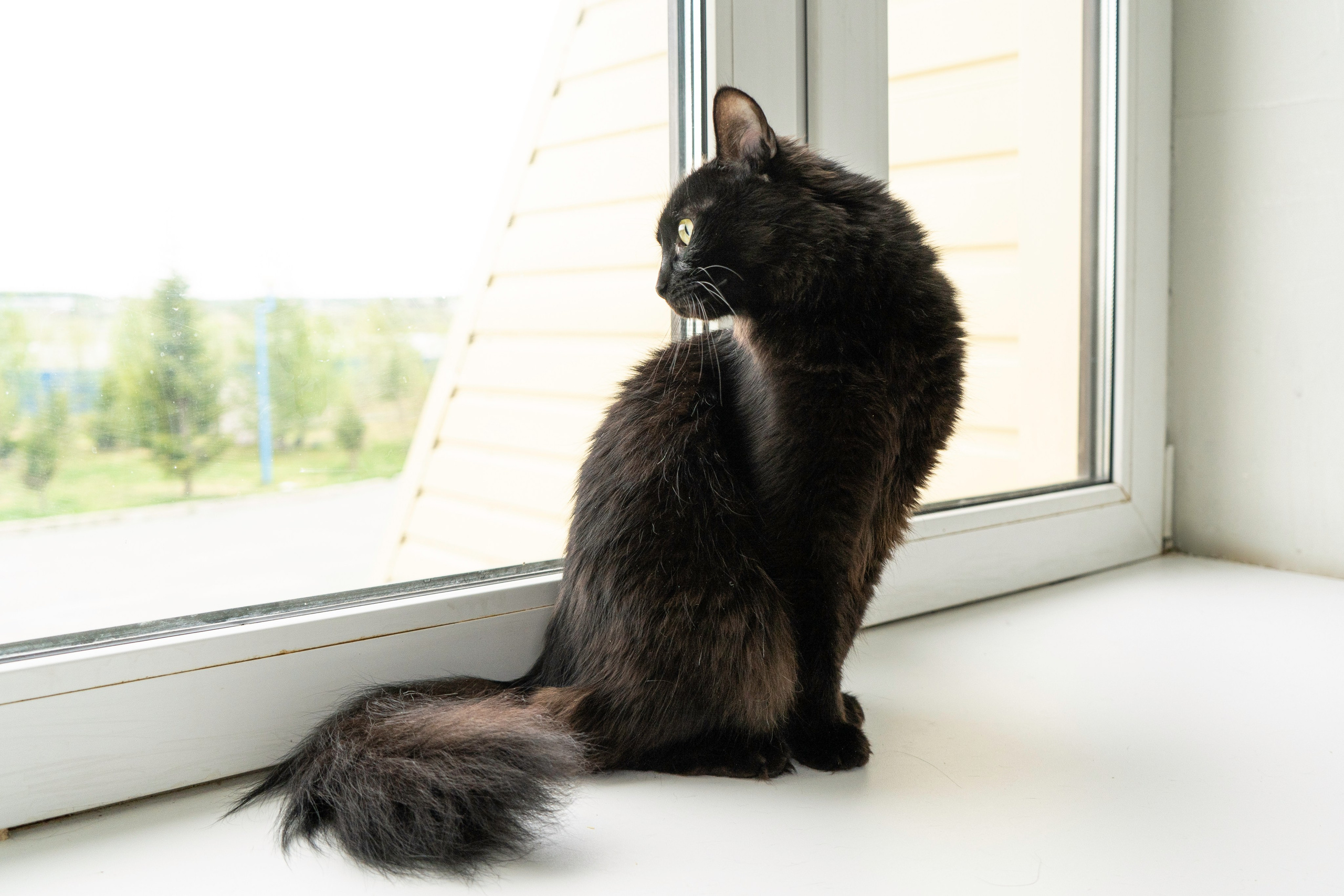 Бездомыши. Фотограф Екатерина Зорина