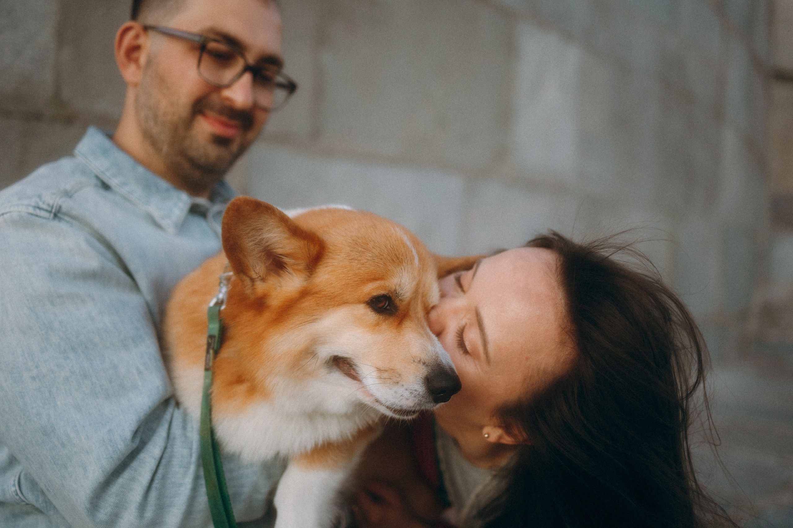 Момо, Люда и Эд. Фотограф анималист Анастасия Пикей