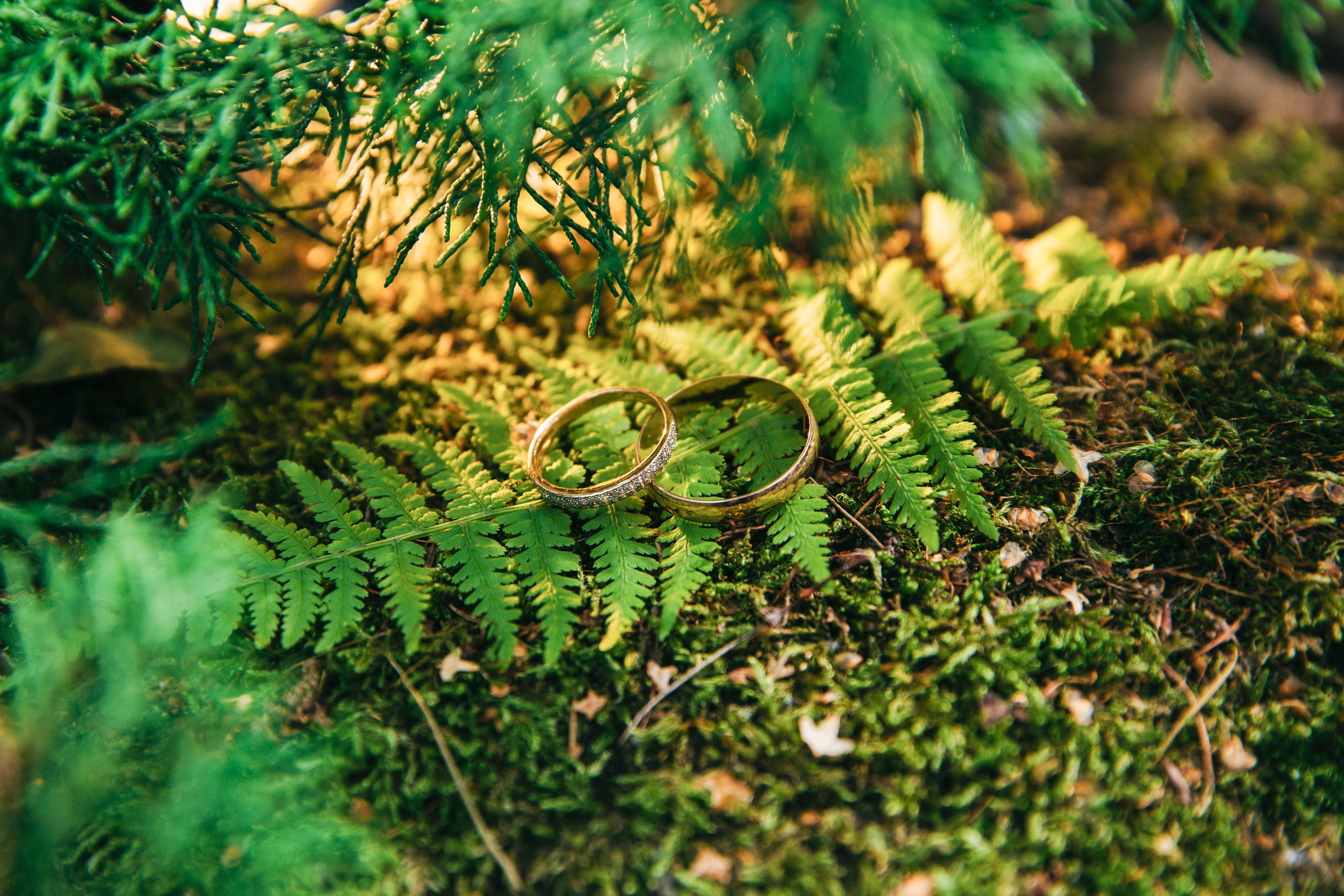 Фотограф Татьяна Мамонтова Екатеринбург. Фотограф Татьяна Мамонтова