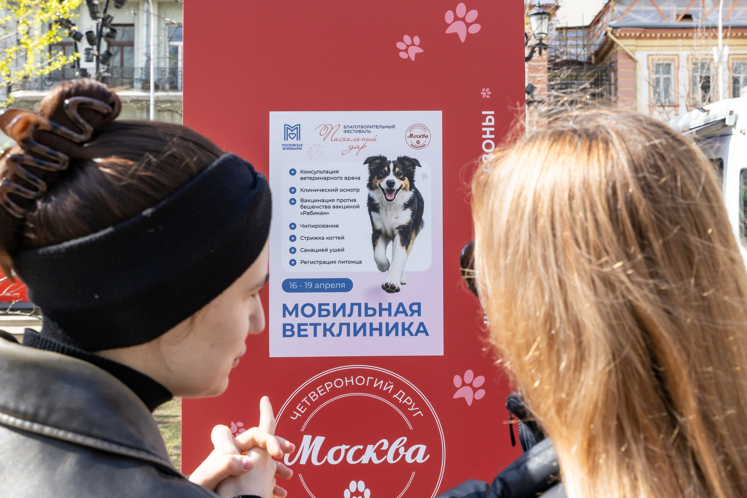 Проект «Моспитомец» на Тверском бульваре. Фотограф Владимир Охрименко