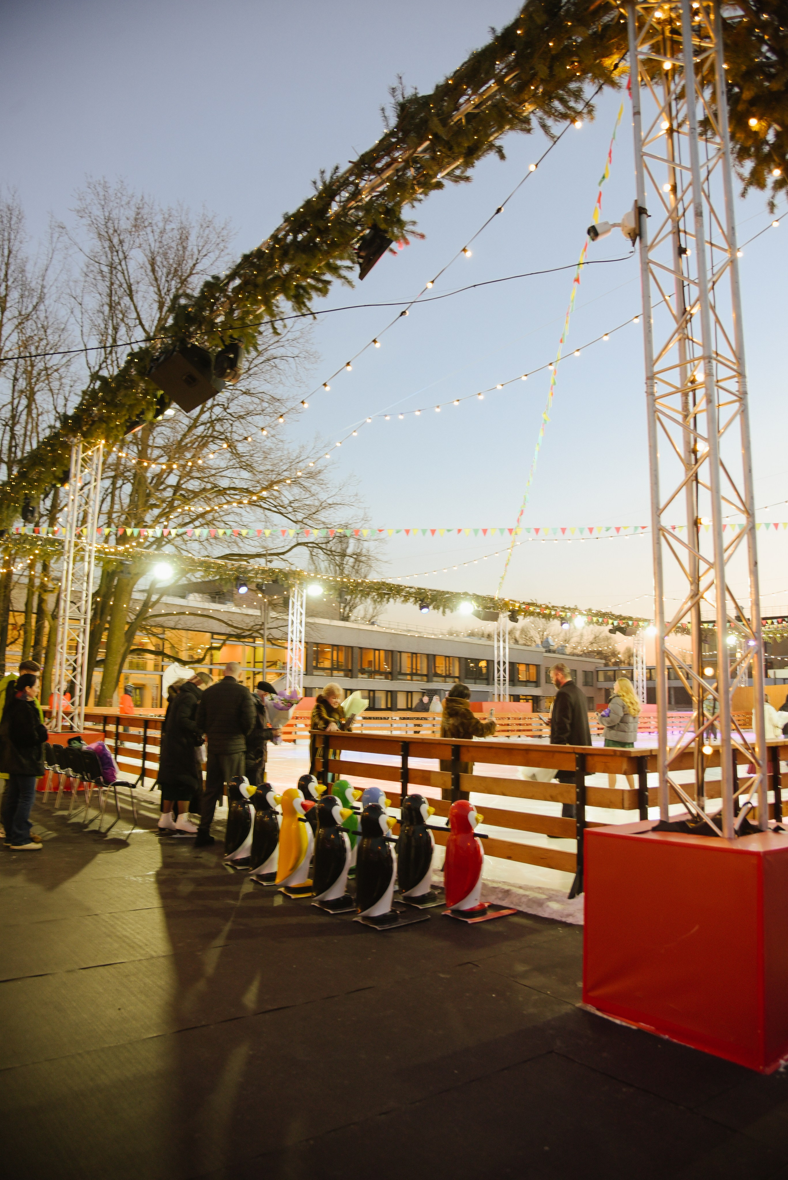 На льду. Фотограф Лола Волна, город Москва