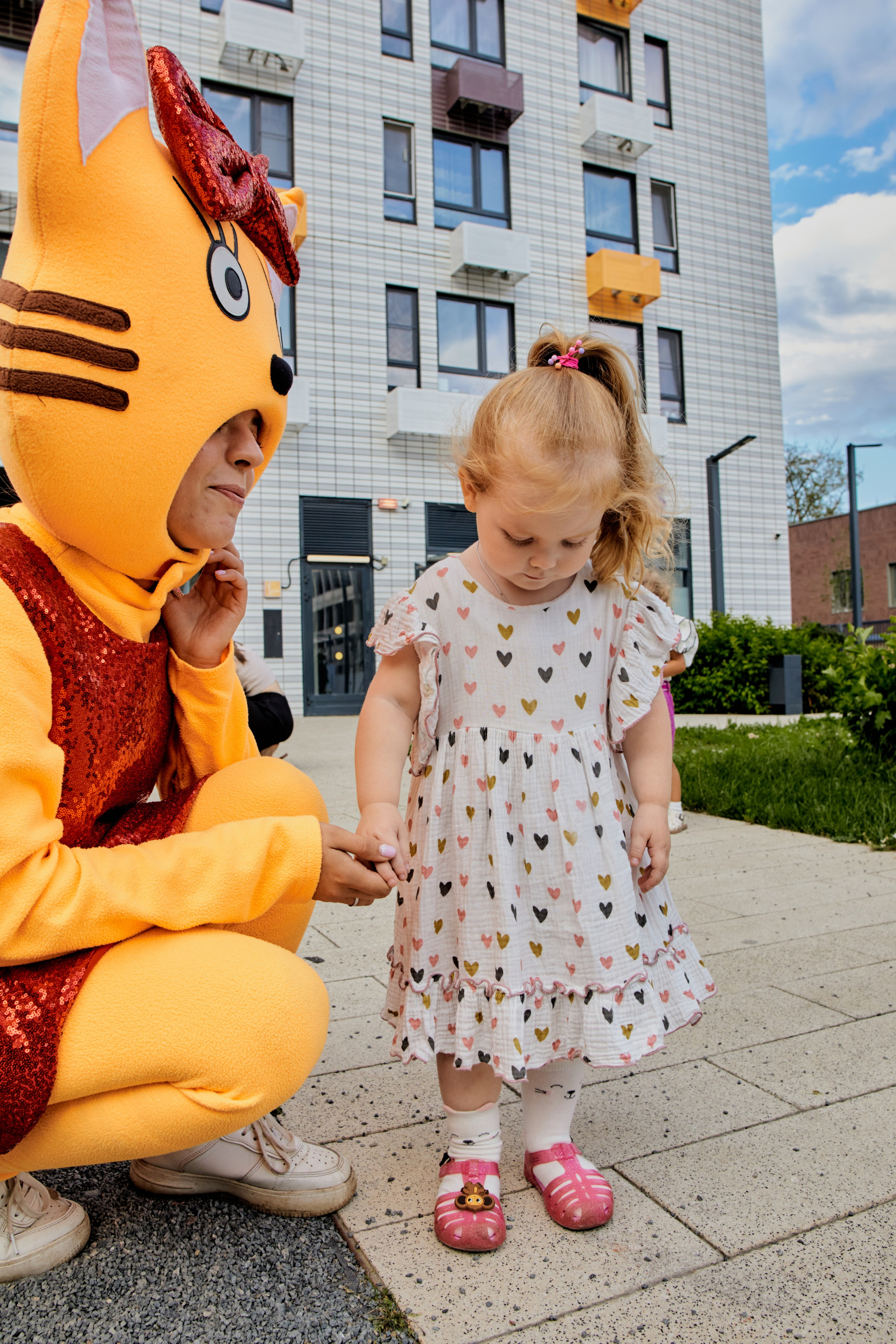 Три кота. Фотограф Москва