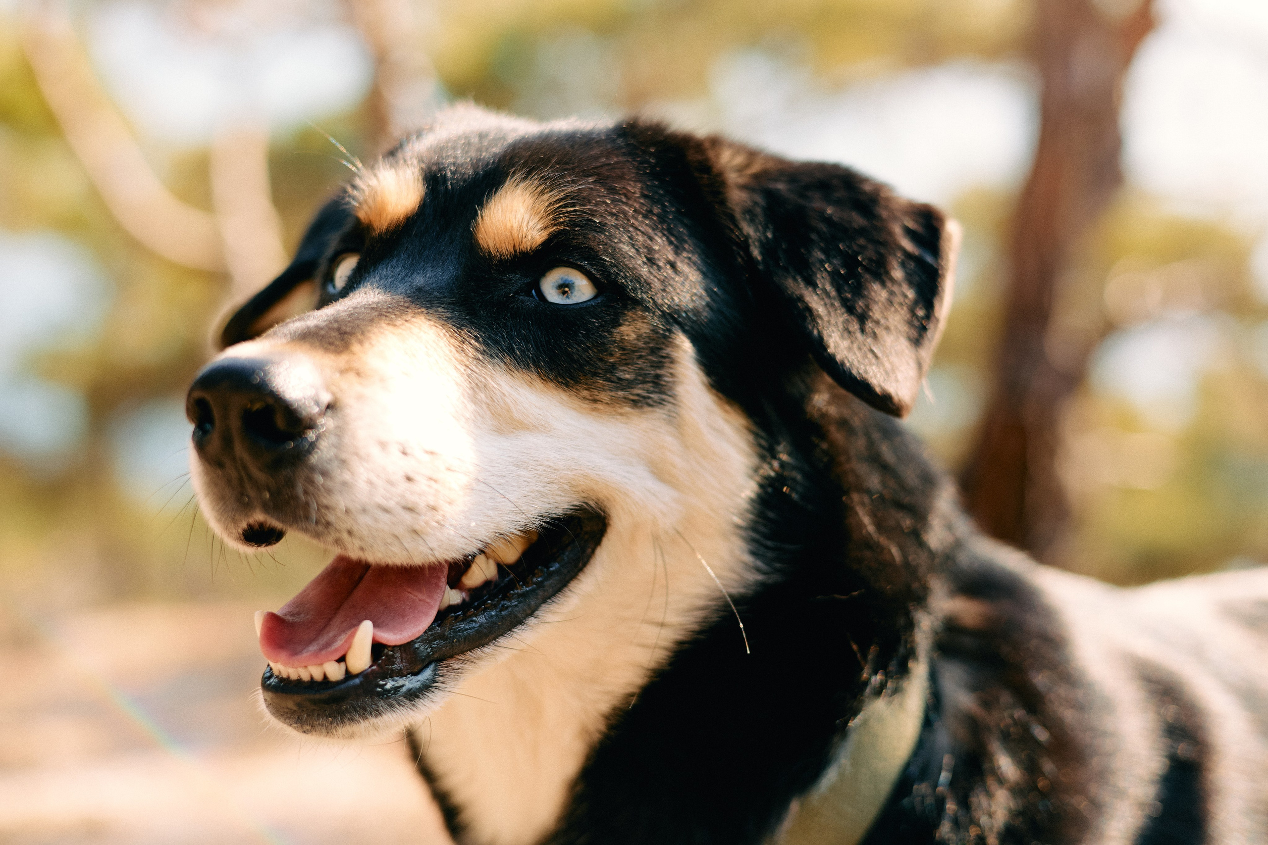 Юг России. Профессиональный Фотограф во Владимире, в Москве и в Суздале — Полина Романычева