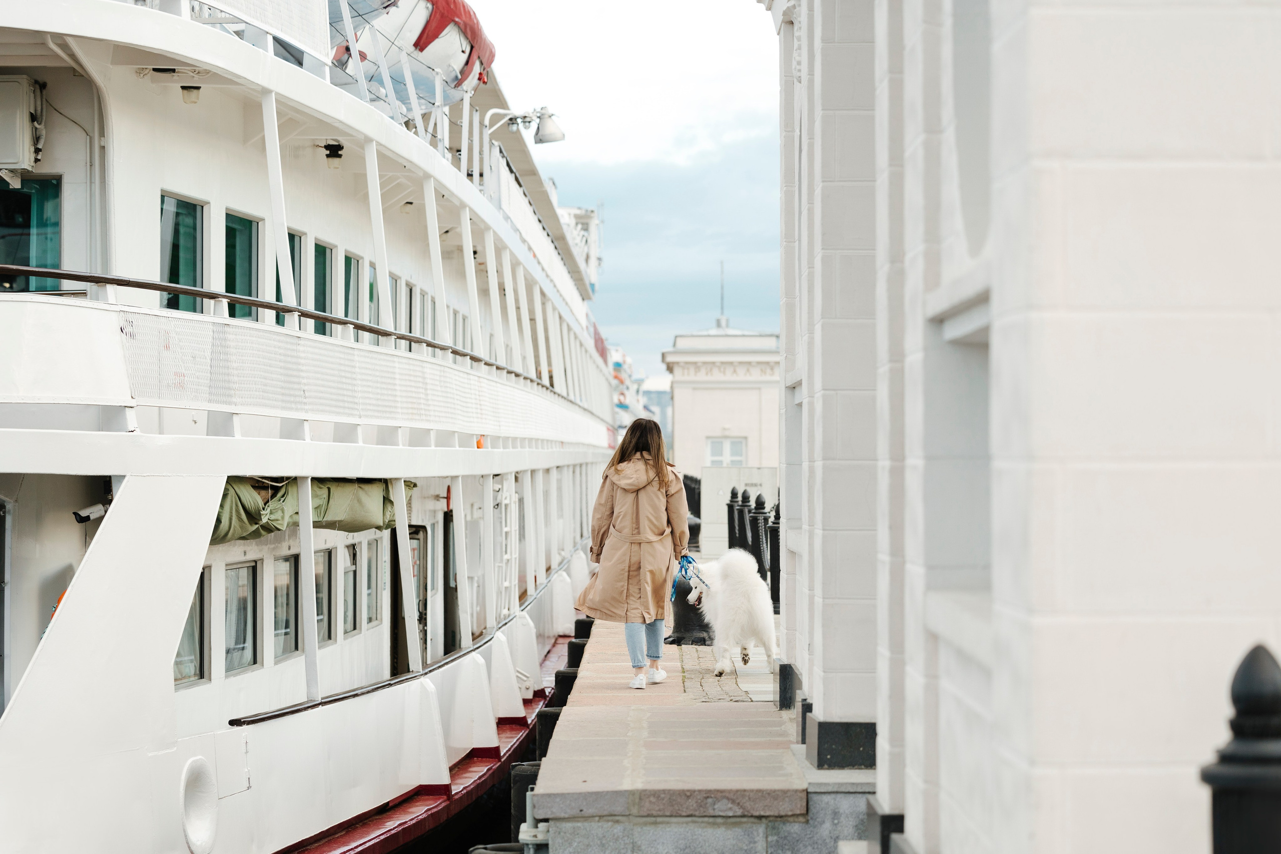 Ната, Панти, Речной Вокзал. Фотограф анималист в Москве Майорова Евгения