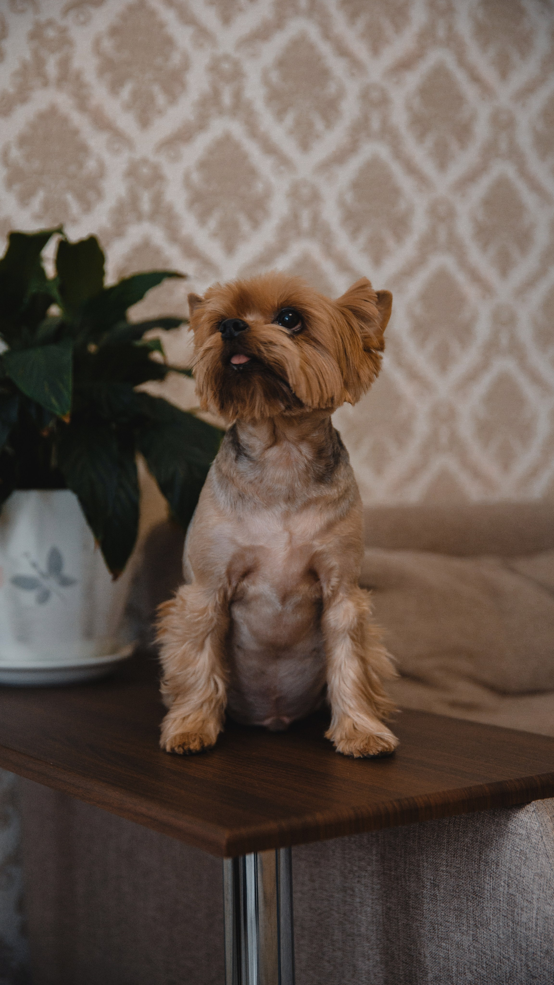 Свадьбы. Свадебный и репортажный фотограф в Ярославле Евгений Шовдин