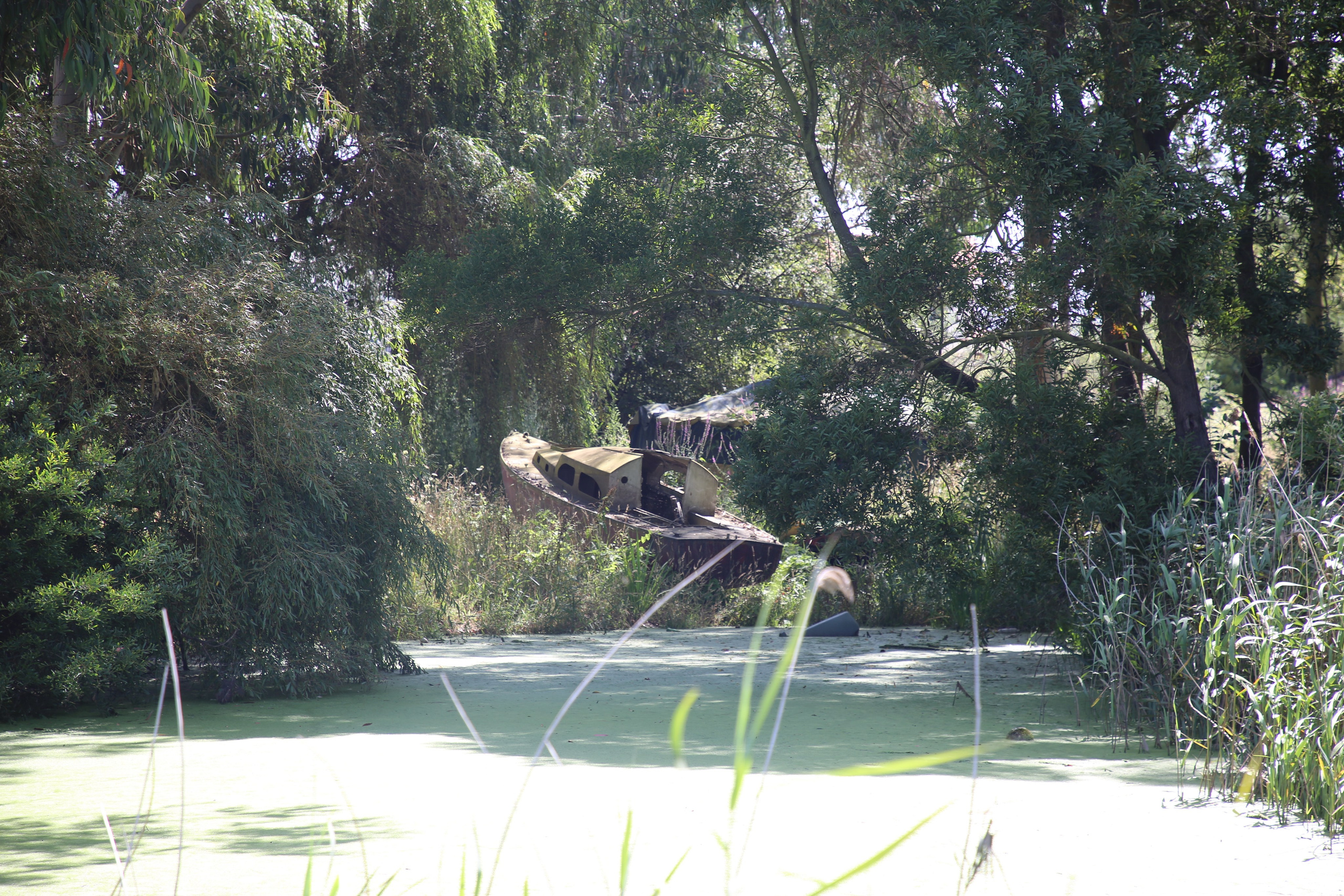 Esmoriz, Portugal. Andrey Filippov Photographer