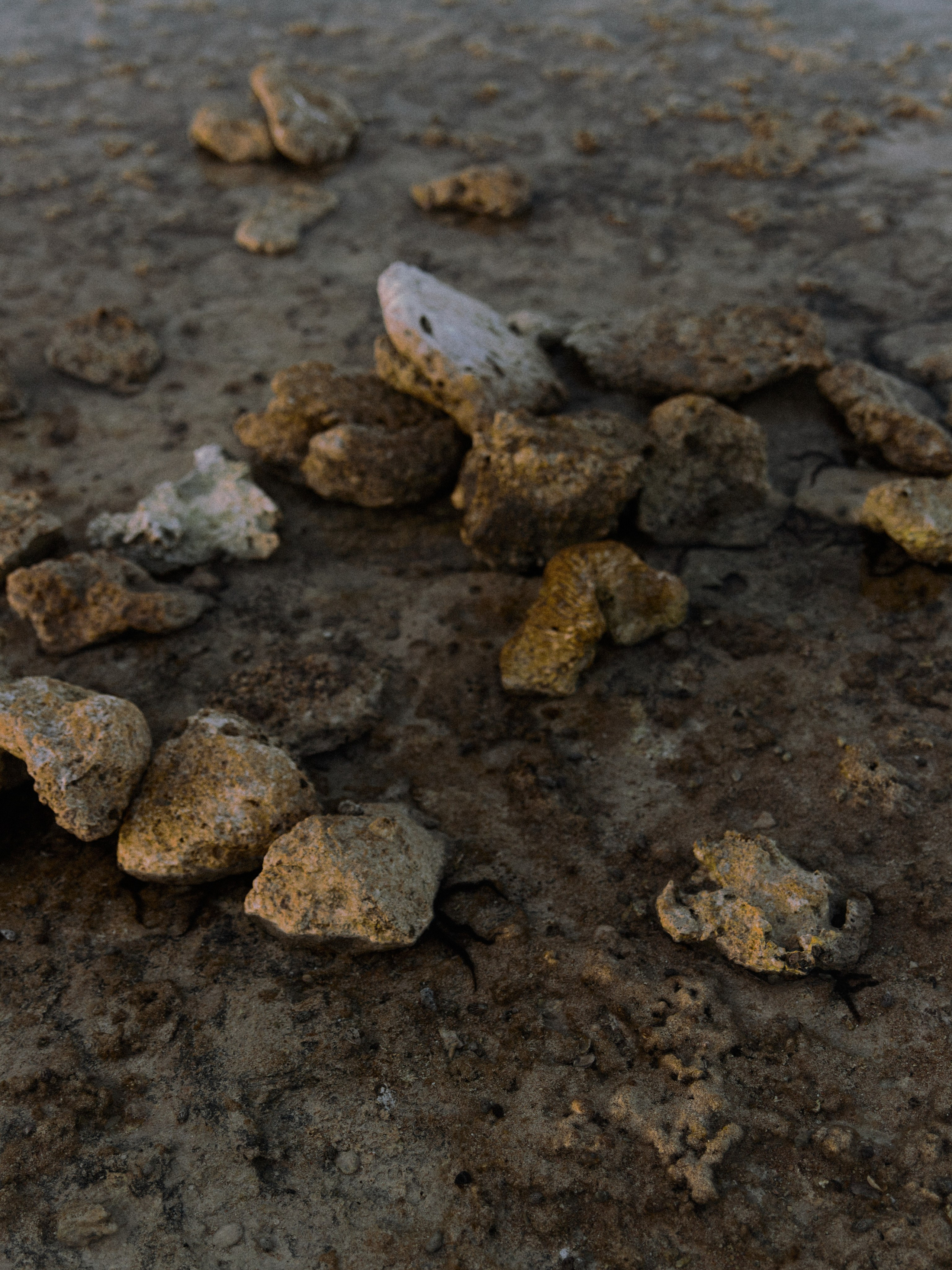 Природа. Jorgis Talè — photographer, kind person, teacher of arts and other mag