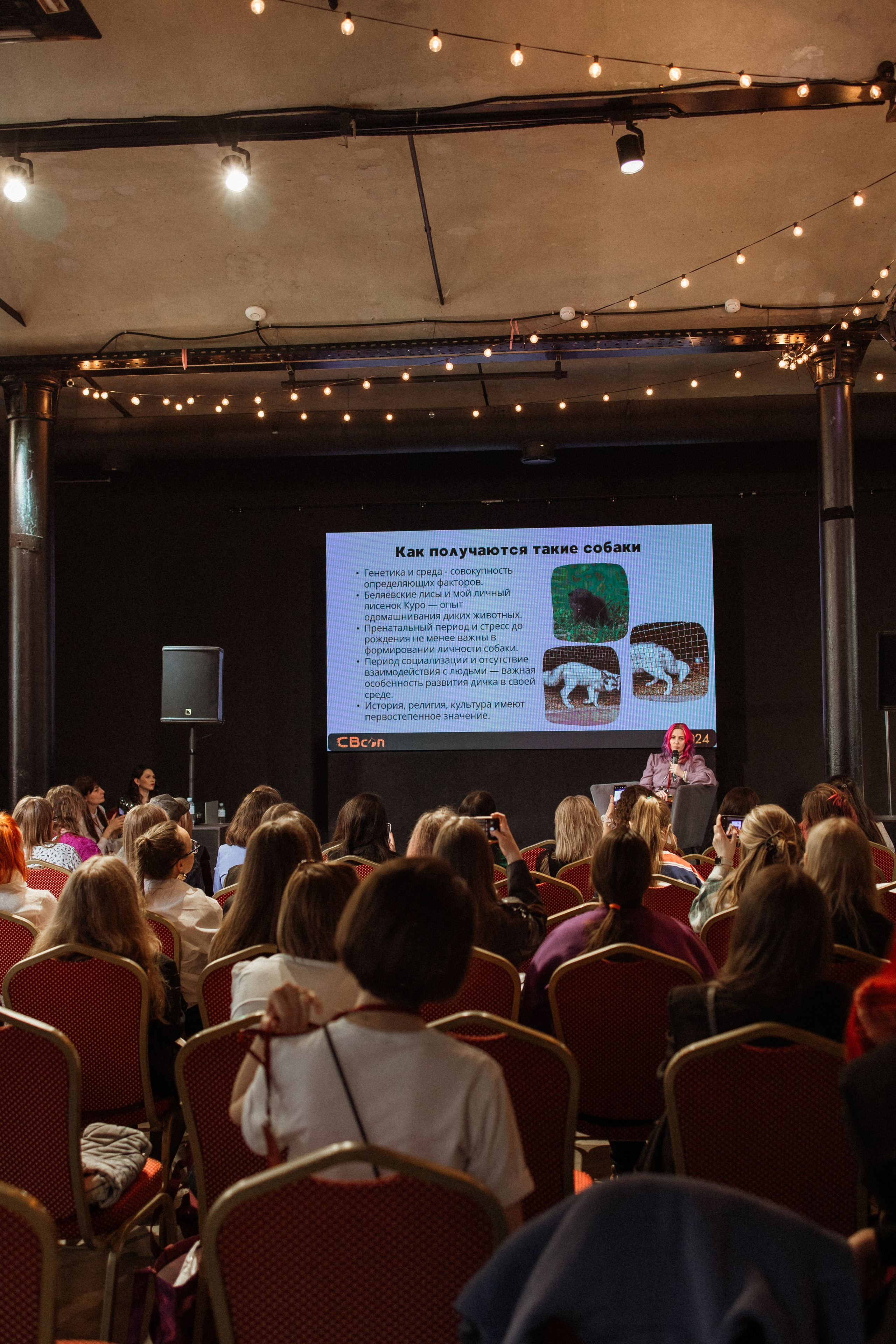 CBcon. Фотограф анималист в Москве Майорова Евгения