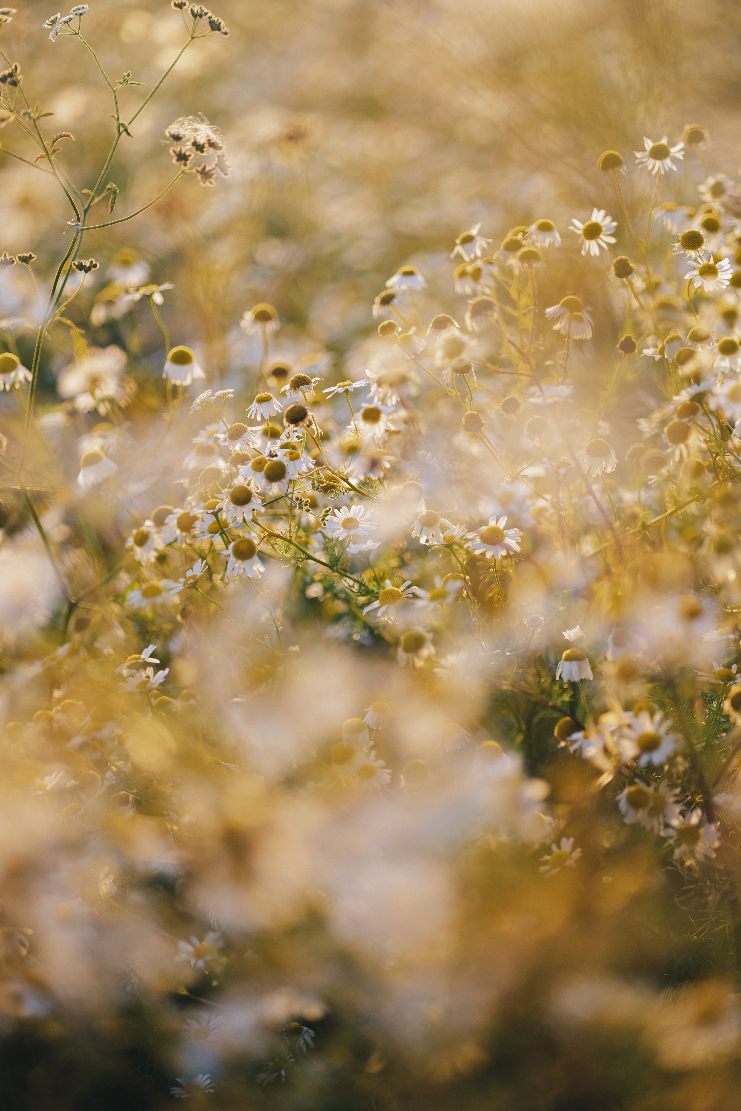 Вика. Фотограф Таганрог Любимая Надя