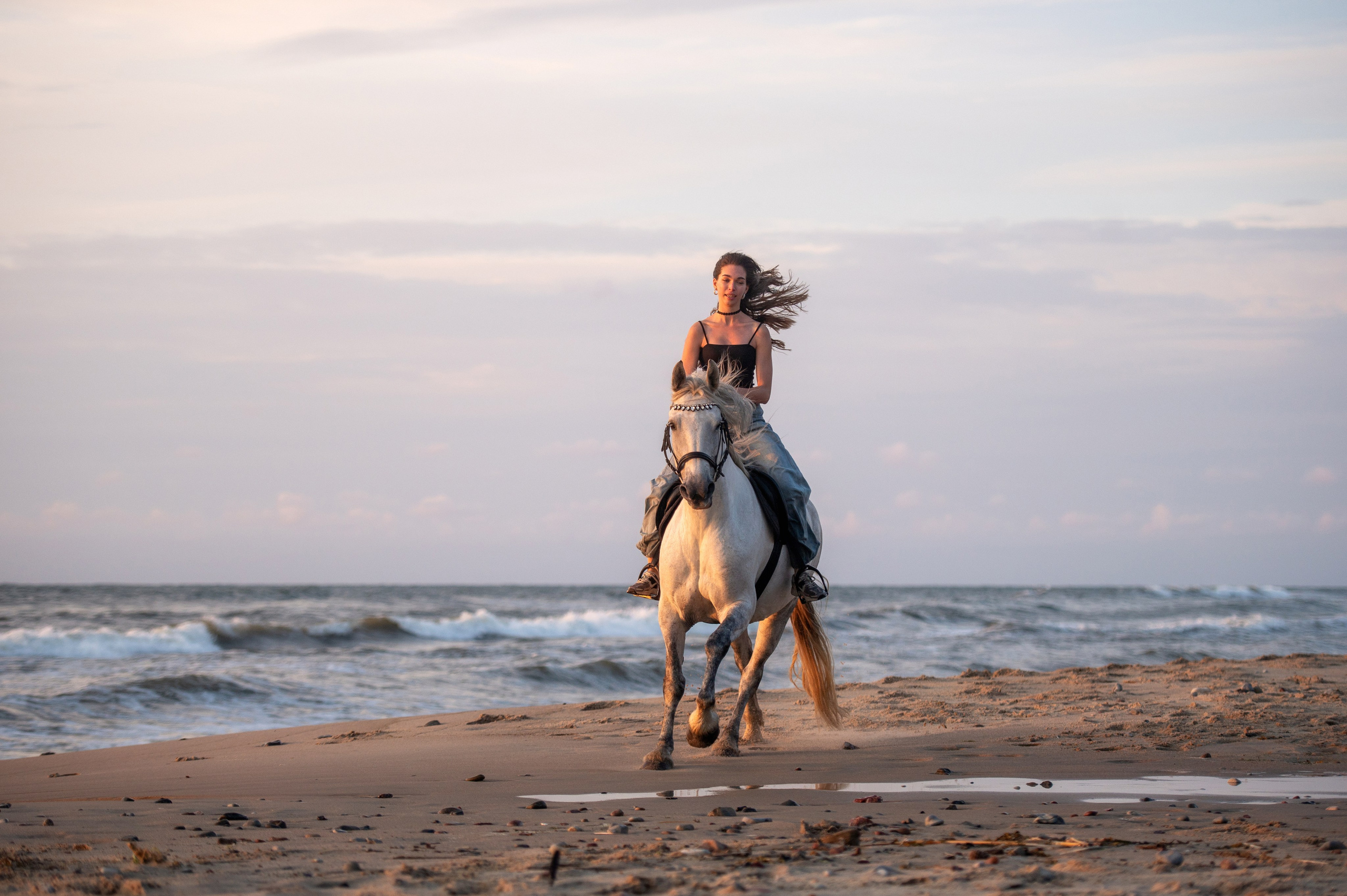 Фотограф с лошадьми в Калининграде Татьяна Ларина