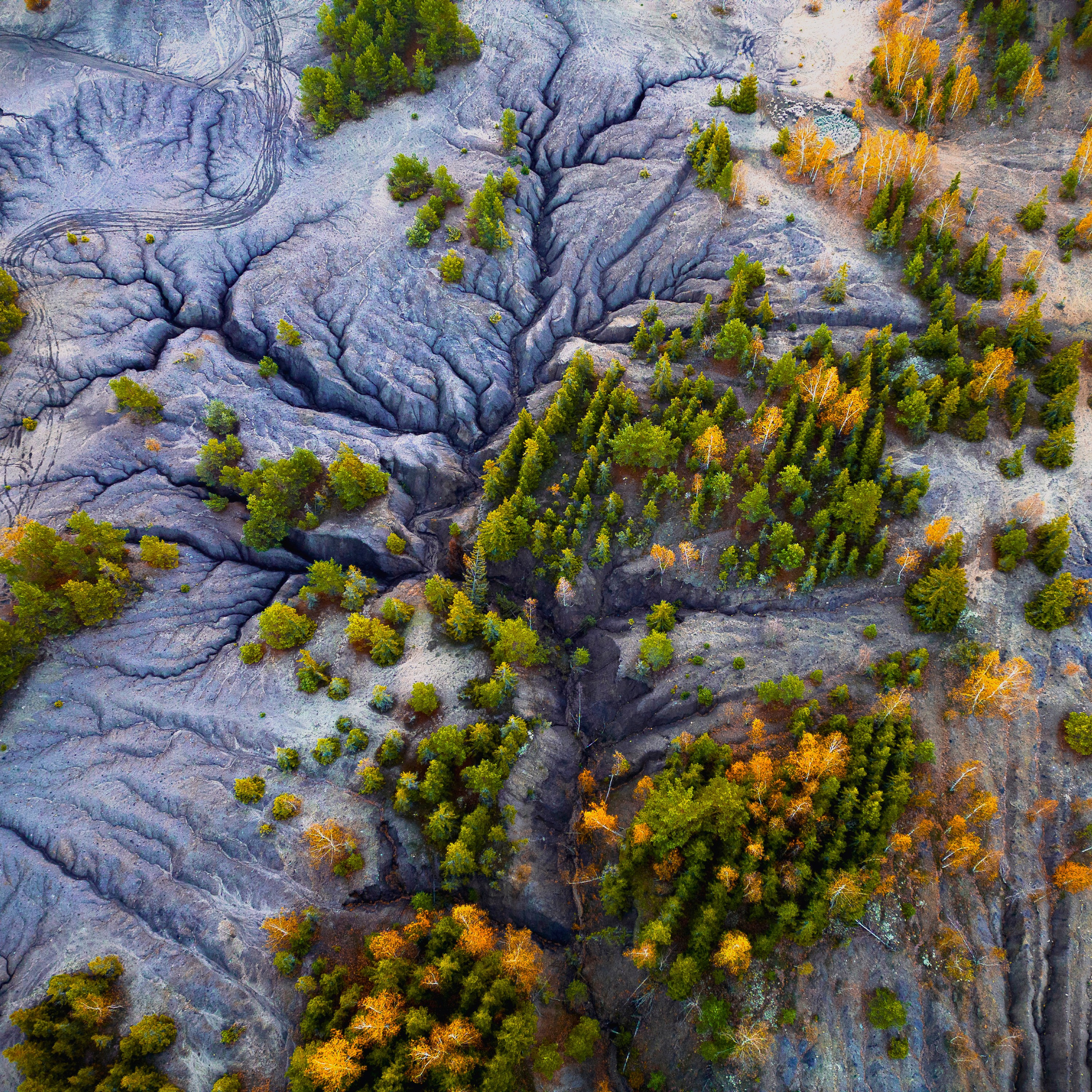Суворовские вертикали. Пейзажная и архитектурная фотография в Туле, Татьяна Silva