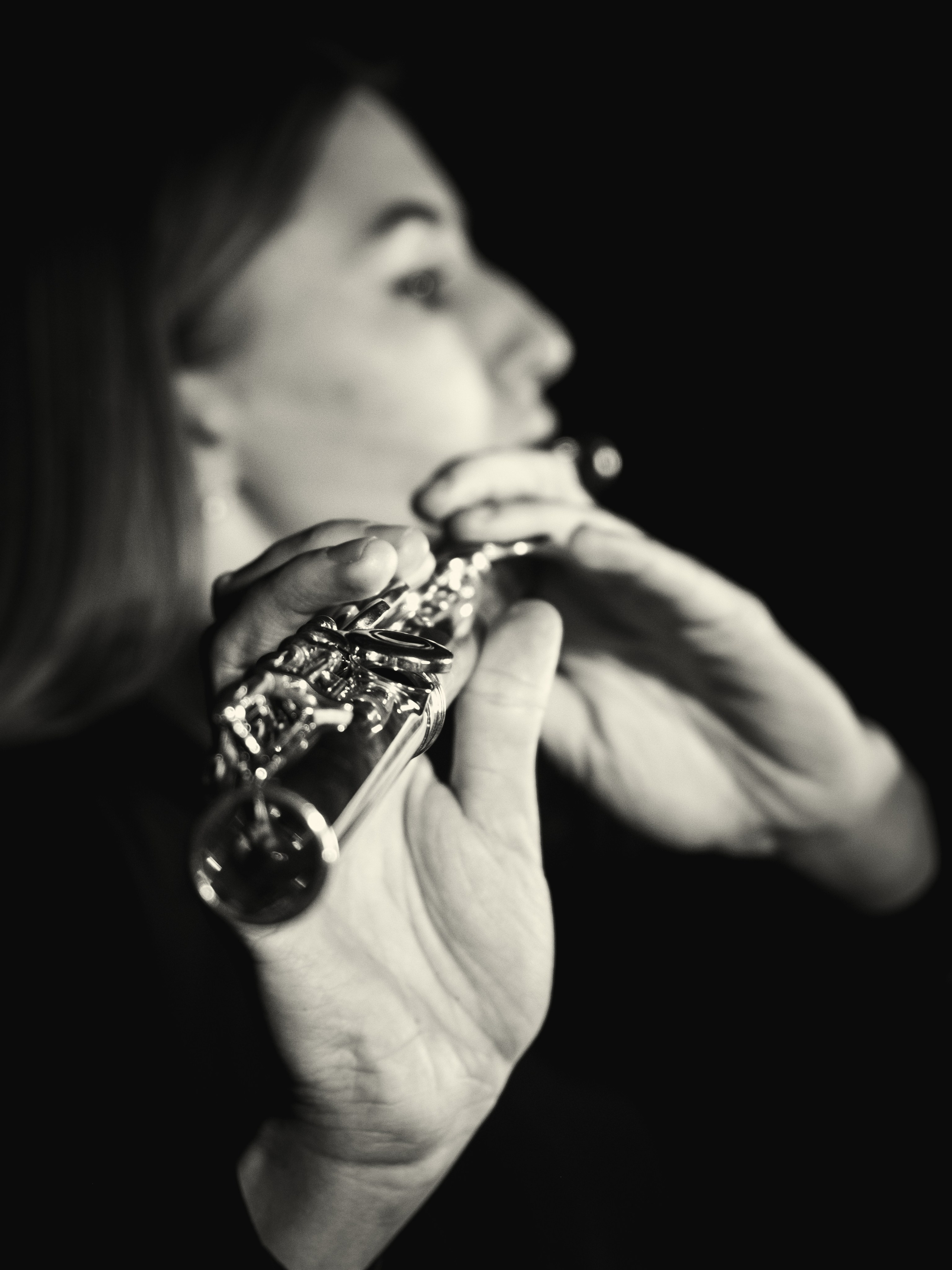 Night Harmony. Royal Shirali