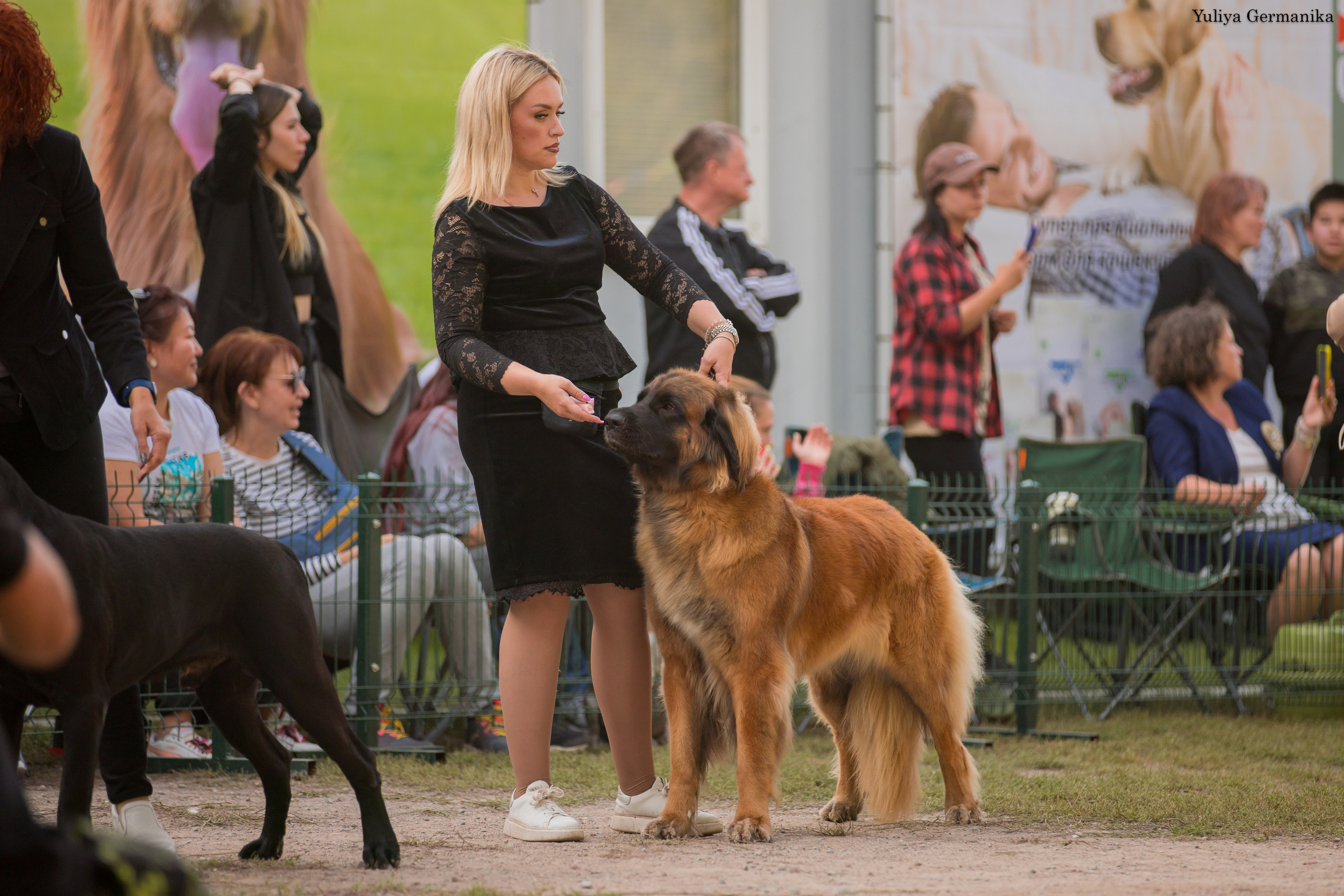 Бишкек 29.09-01.10.2023. Фотограф-анималист Юлия Германика