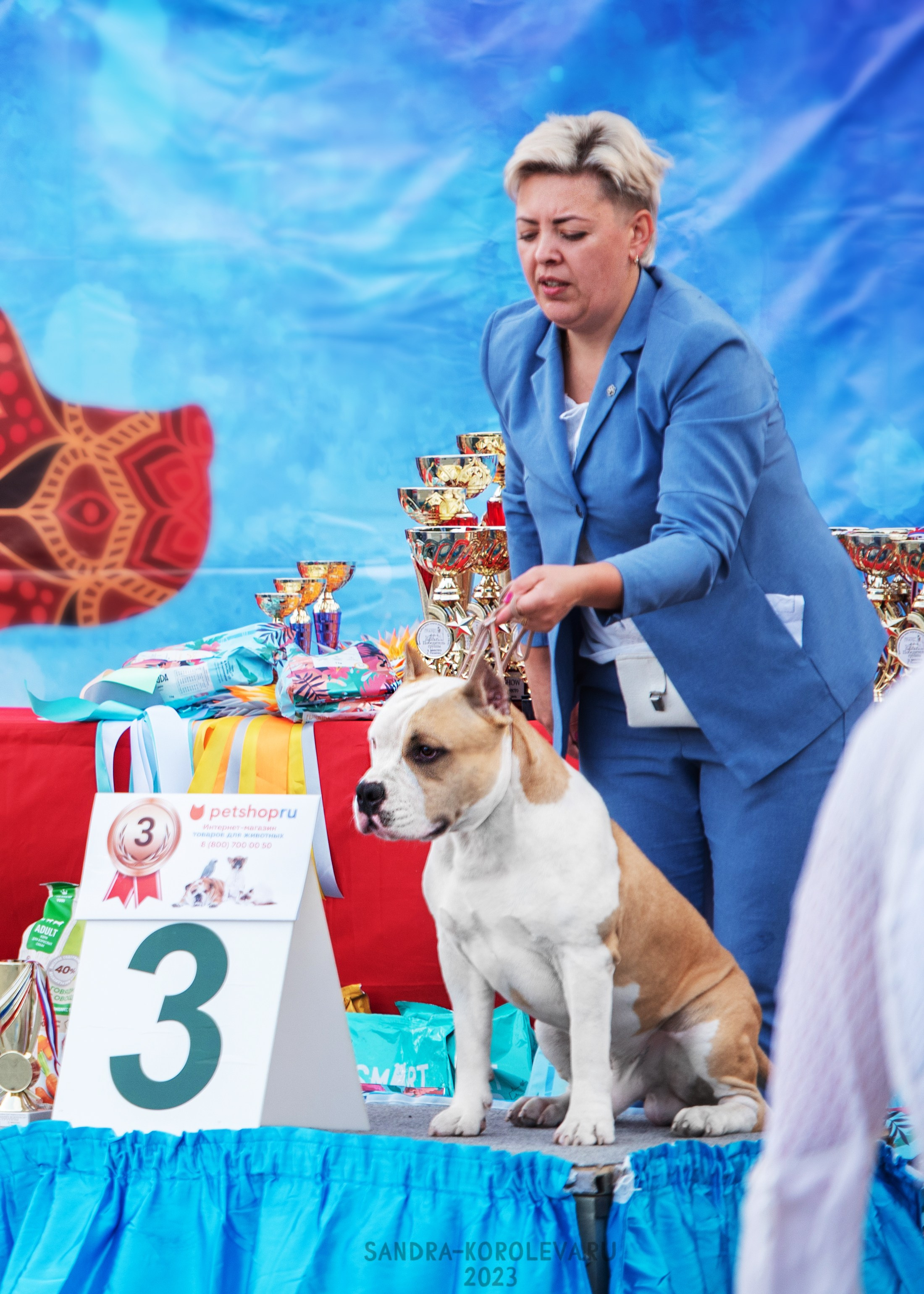 Выставка собак Тюмень 02.09.2023. Дог-фотограф в Тюмени Александра Королева