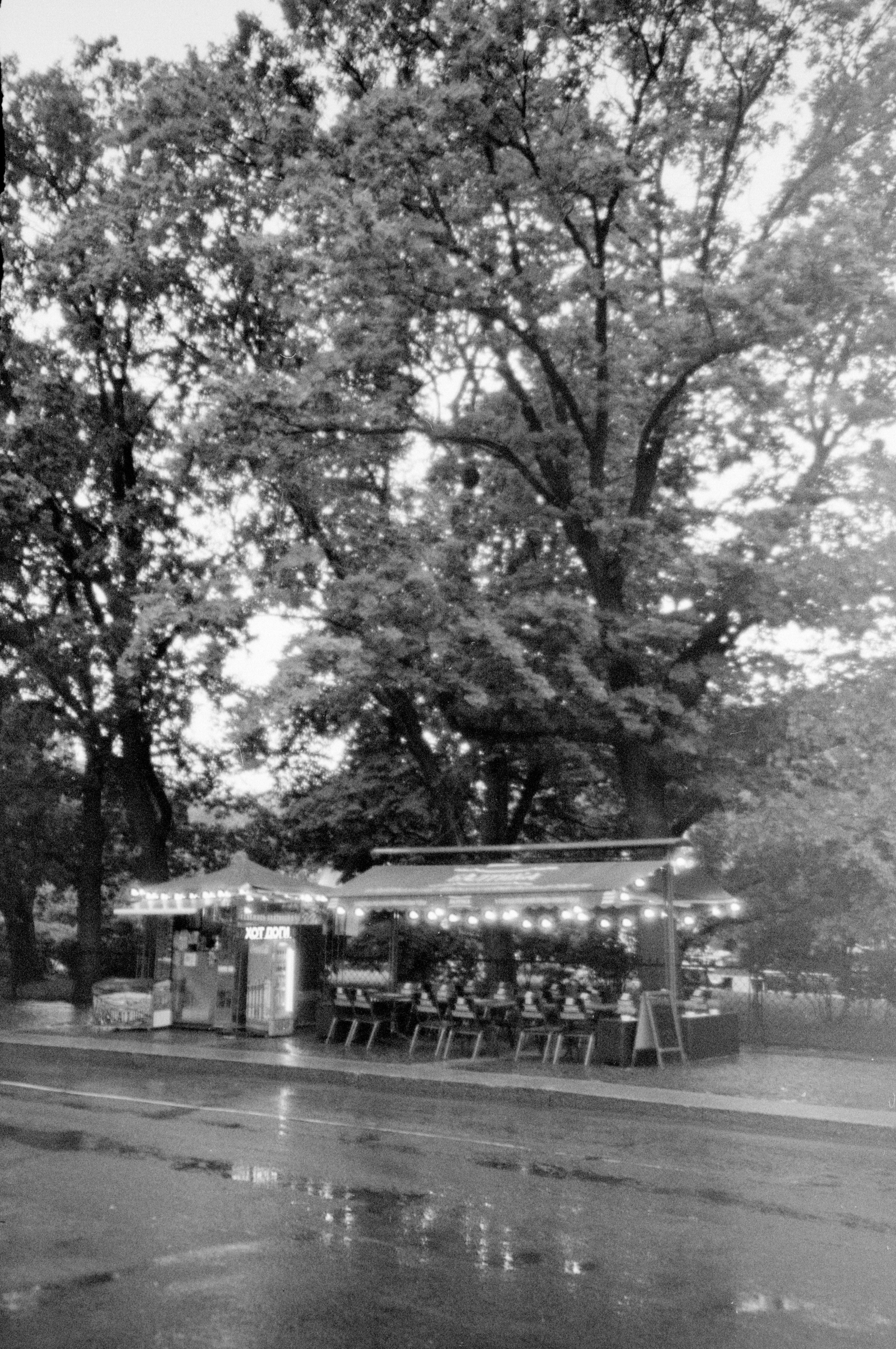 Моя плёночная камера для стрит-съёмки. Фотограф Дмитрий Молчанов | Фотограф Пермь | Фотограф