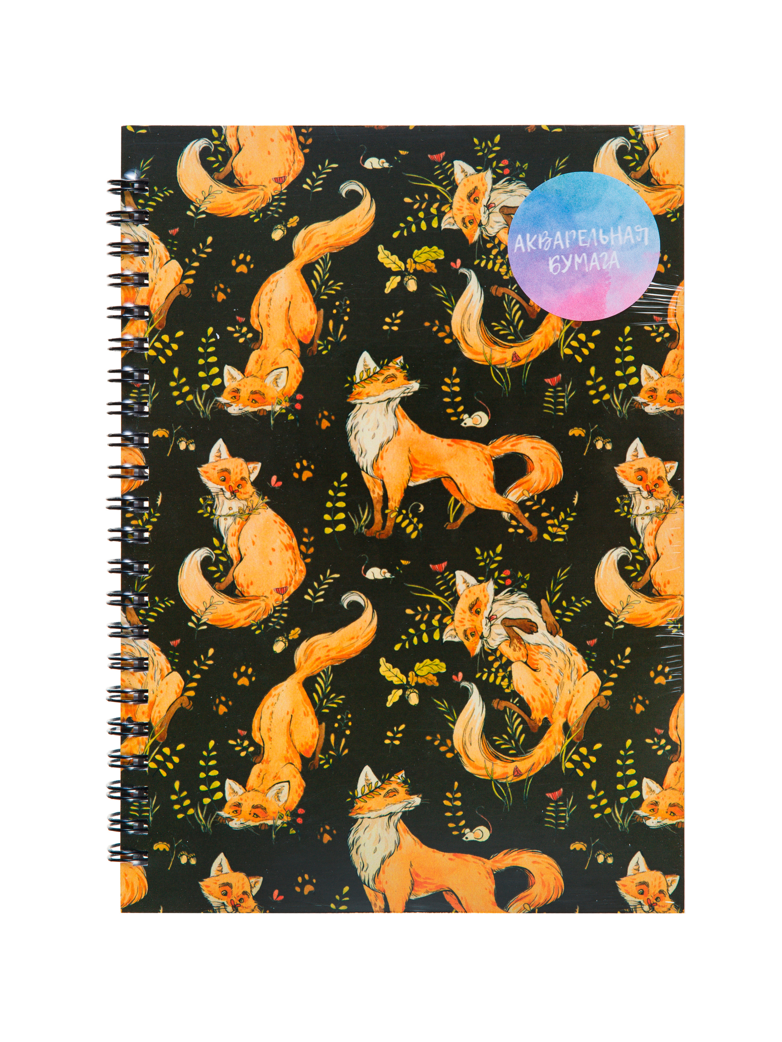 Фотосъёмка продукции для Dark Note — Скетчбуки | Открытки | Планеры. Фотограф Дмитрий Молчанов | Фотограф Пермь | Фотограф