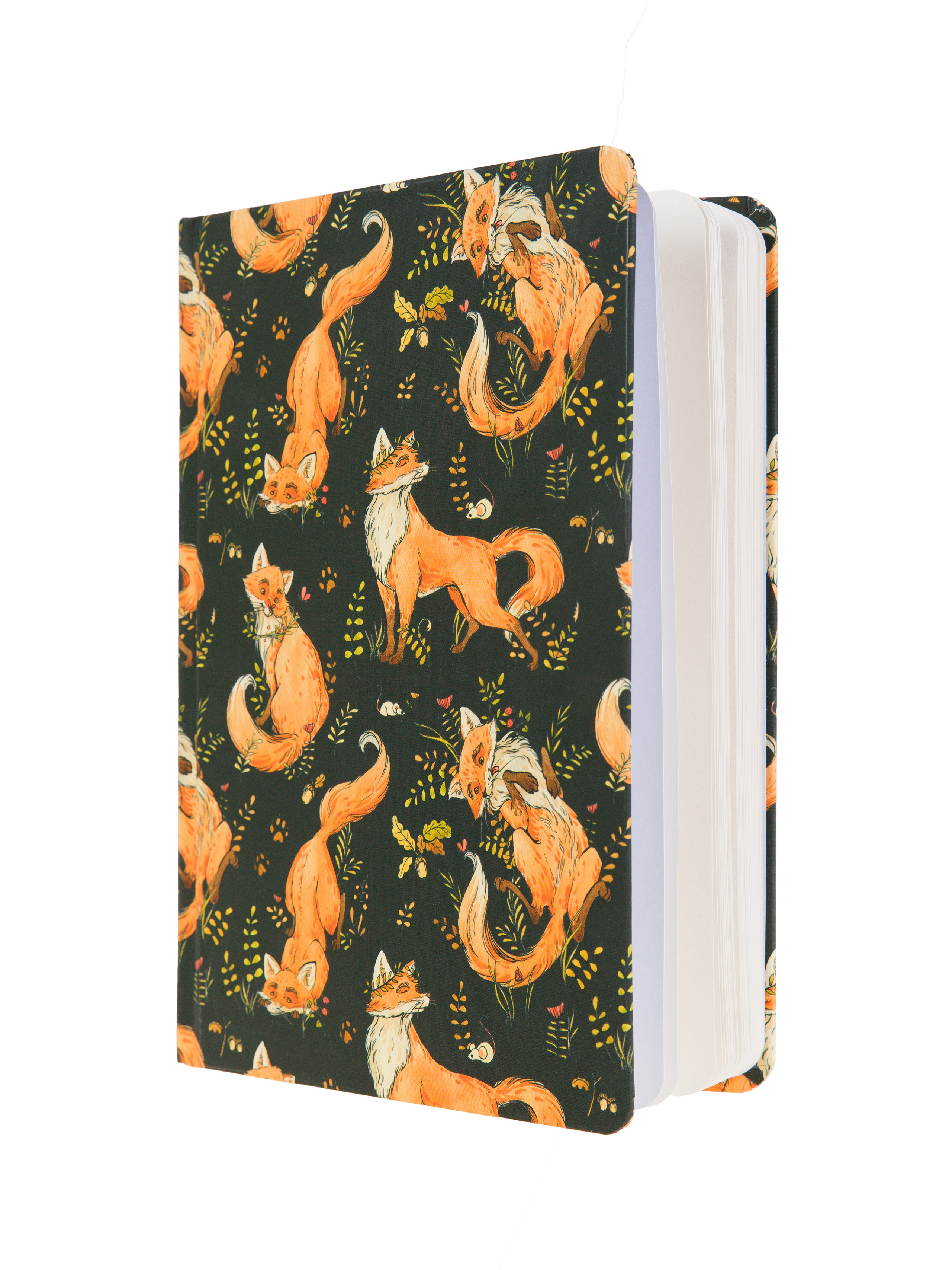 Фотосъёмка продукции для Dark Note — Скетчбуки | Открытки | Планеры. Фотограф Дмитрий Молчанов | Фотограф Пермь | Фотограф