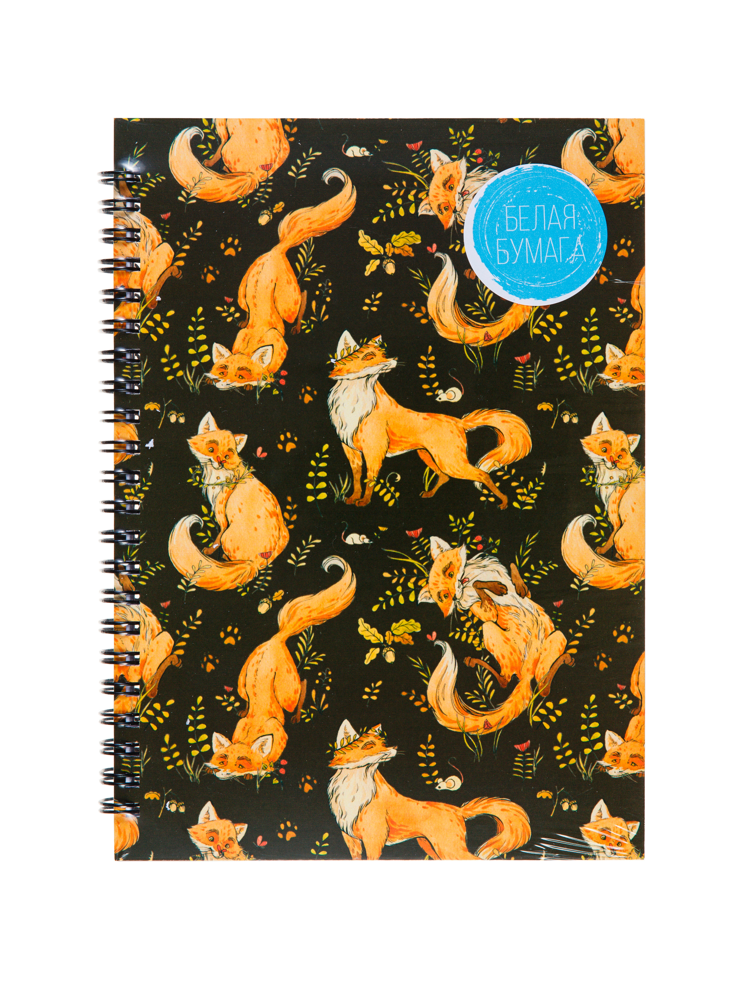 Фотосъёмка продукции для Dark Note — Скетчбуки | Открытки | Планеры. Фотограф Дмитрий Молчанов | Фотограф Пермь | Фотограф