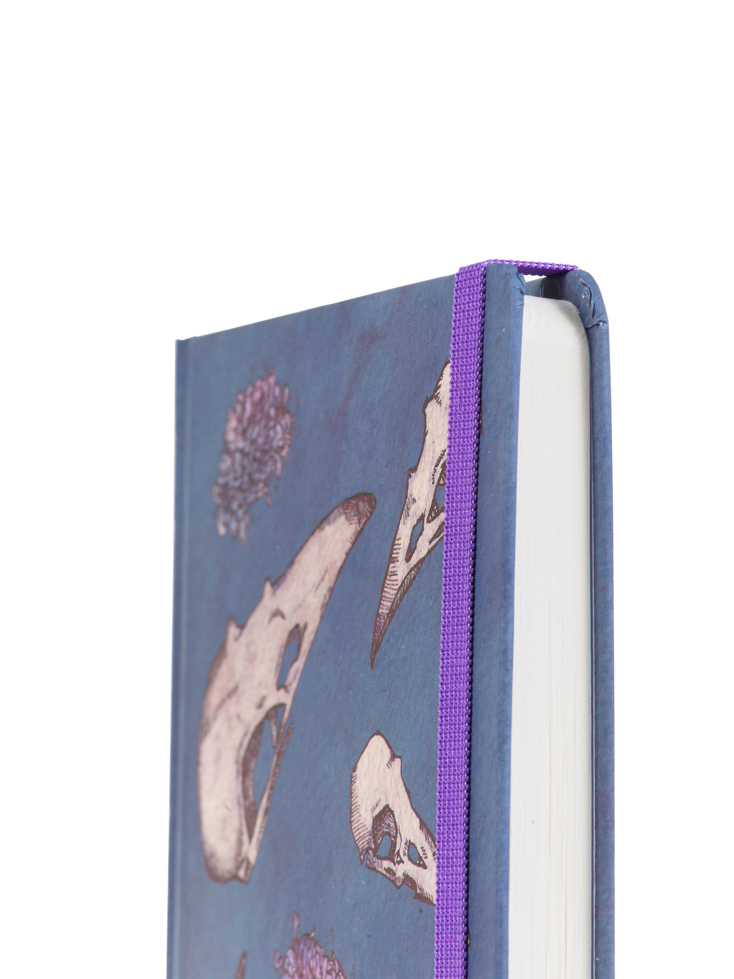 Фотосъёмка продукции для Dark Note — Скетчбуки | Открытки | Планеры. Фотограф Дмитрий Молчанов | Фотограф Пермь | Фотограф