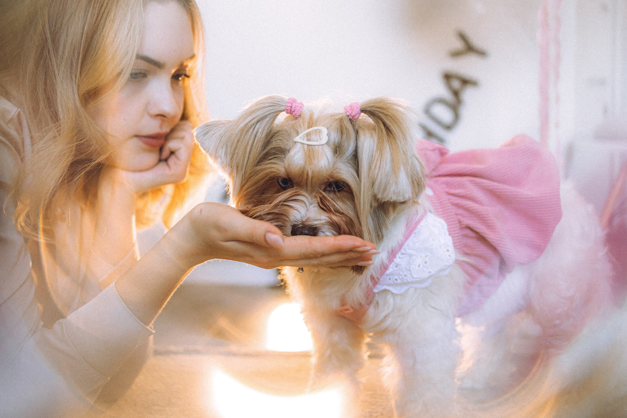 День Рождения Шу